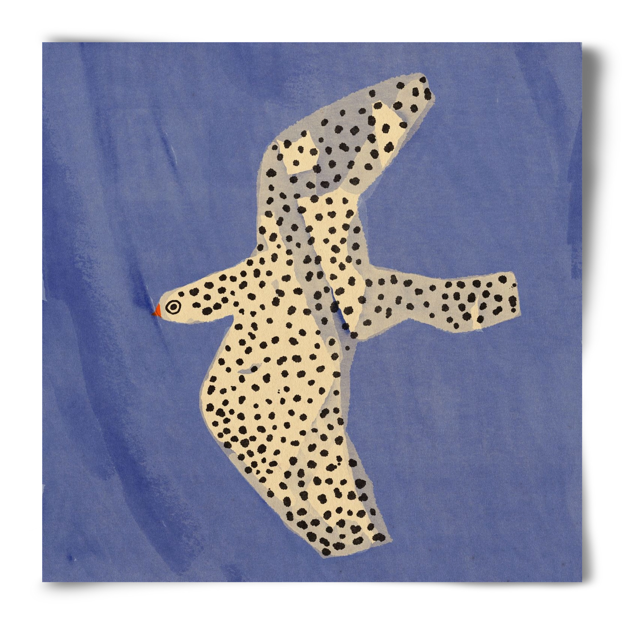 Spotted bird, 50x50 cm, Keret nélkül