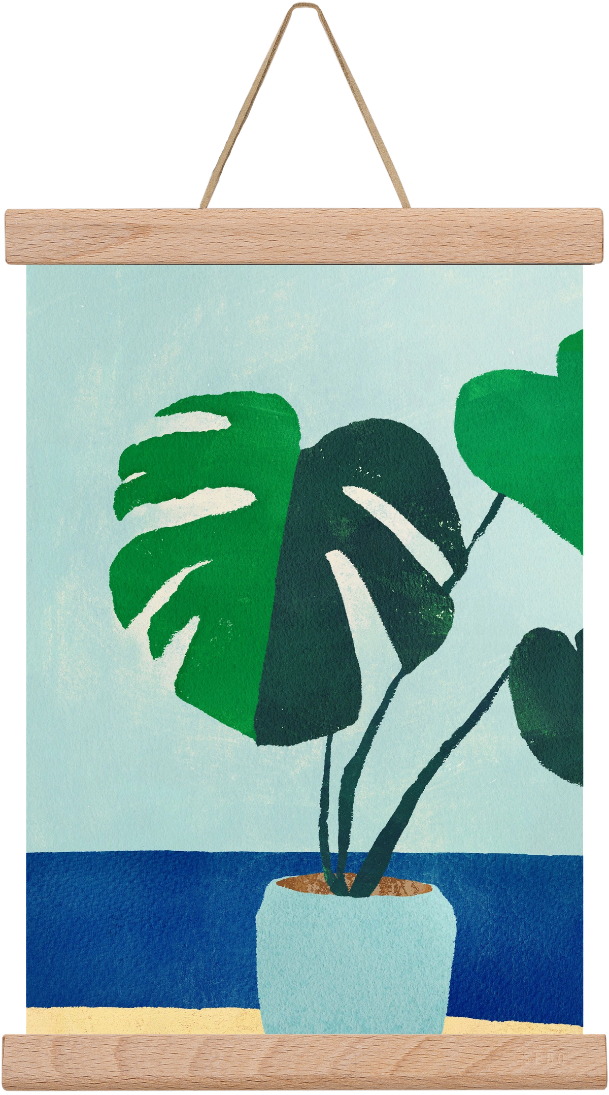 Monstera blues, 20x30 cm (20x30 cm), Tölgy akasztó