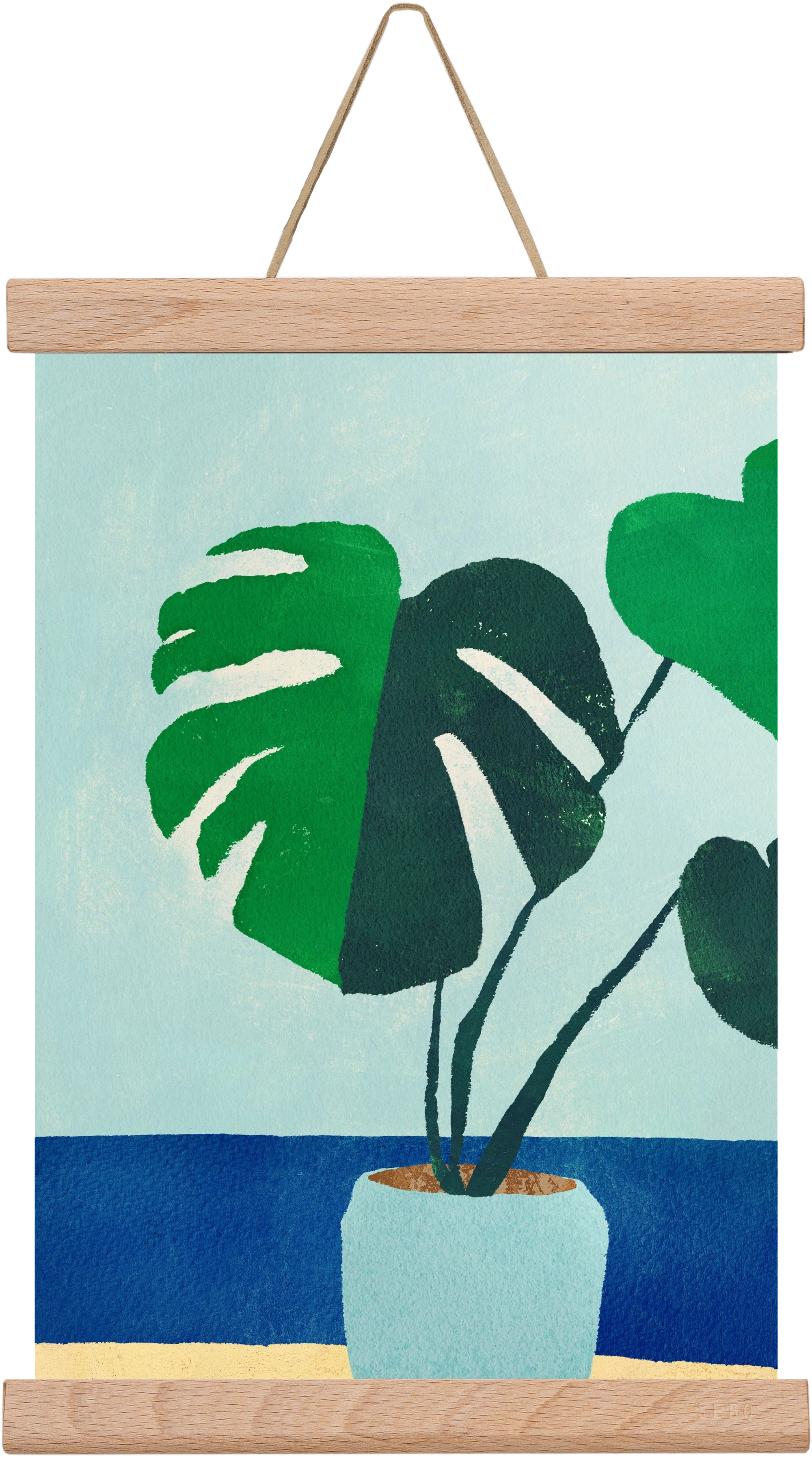 Monstera blues, 20x30 cm (20x30 cm), Tölgy akasztó