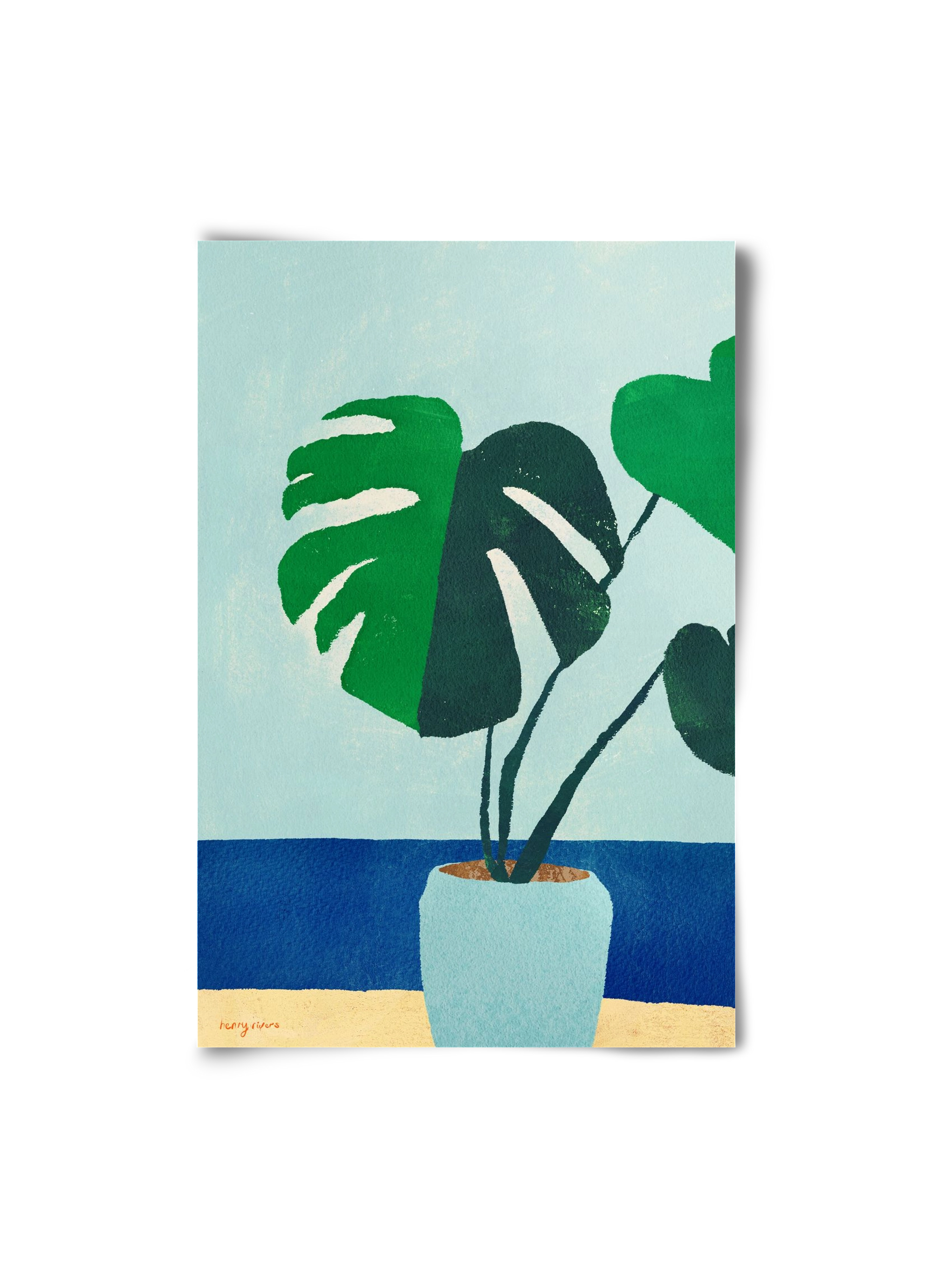 Monstera blues, 20x30 cm, Keret nélkül