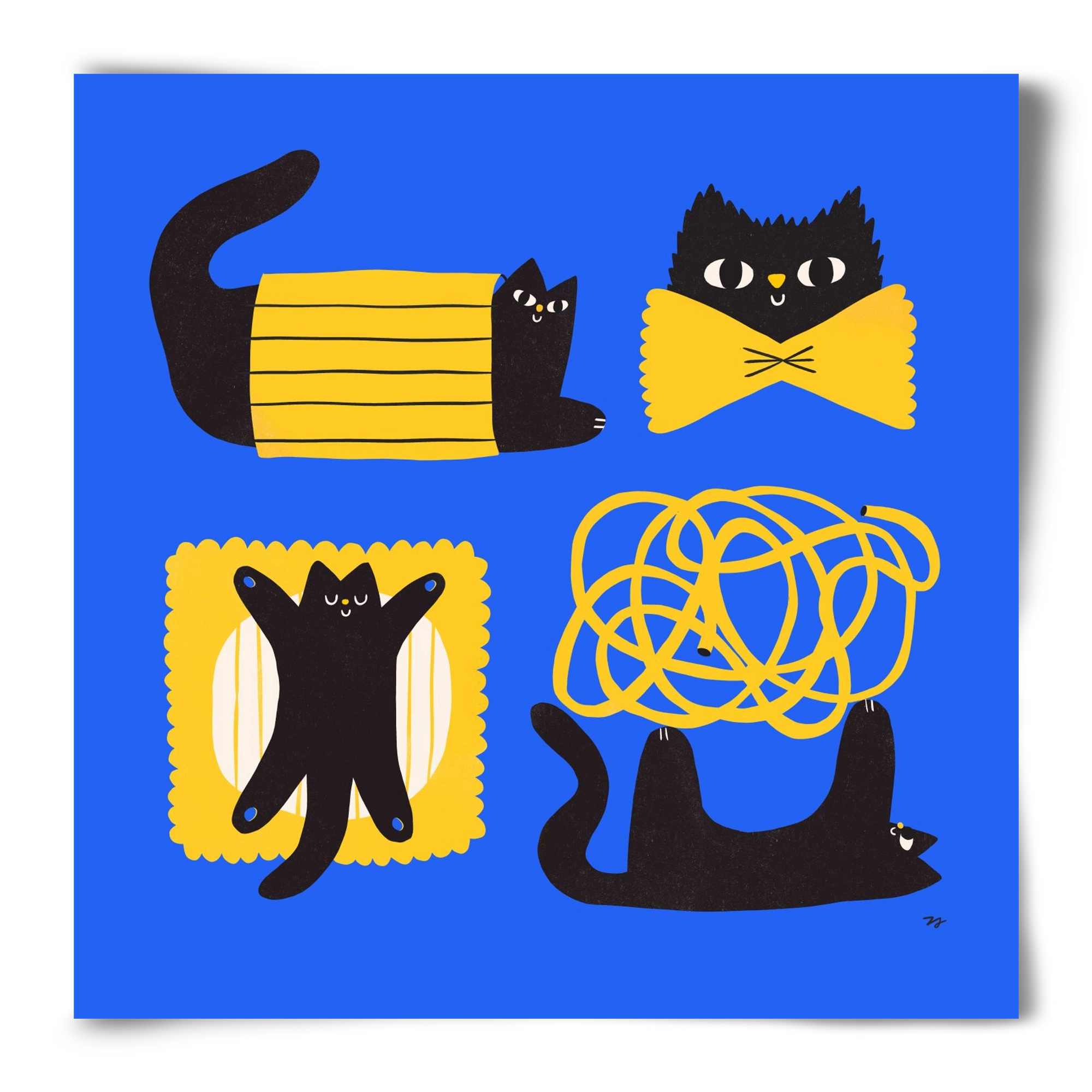 Pasta Cats, 50x50 cm, Keret nélkül