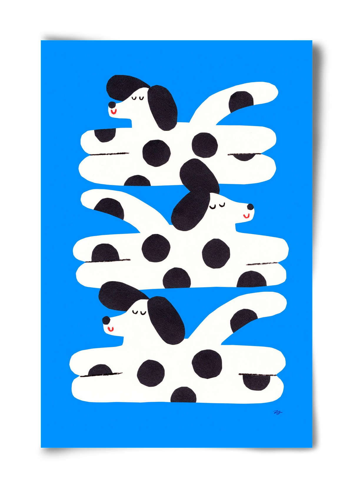 Spotted Dog, 40x60 cm, Keret nélkül