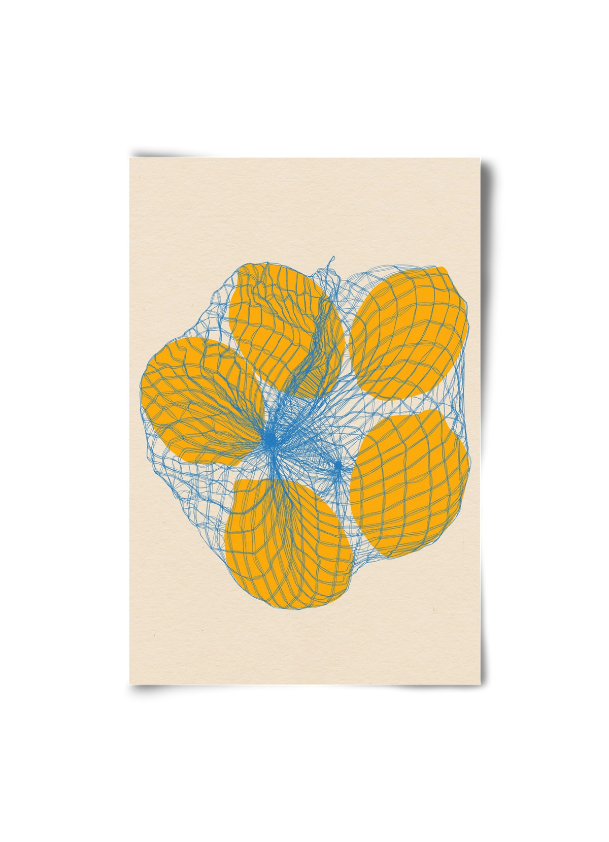 five lemons in a net bag, 20x30 cm, Keret nélkül