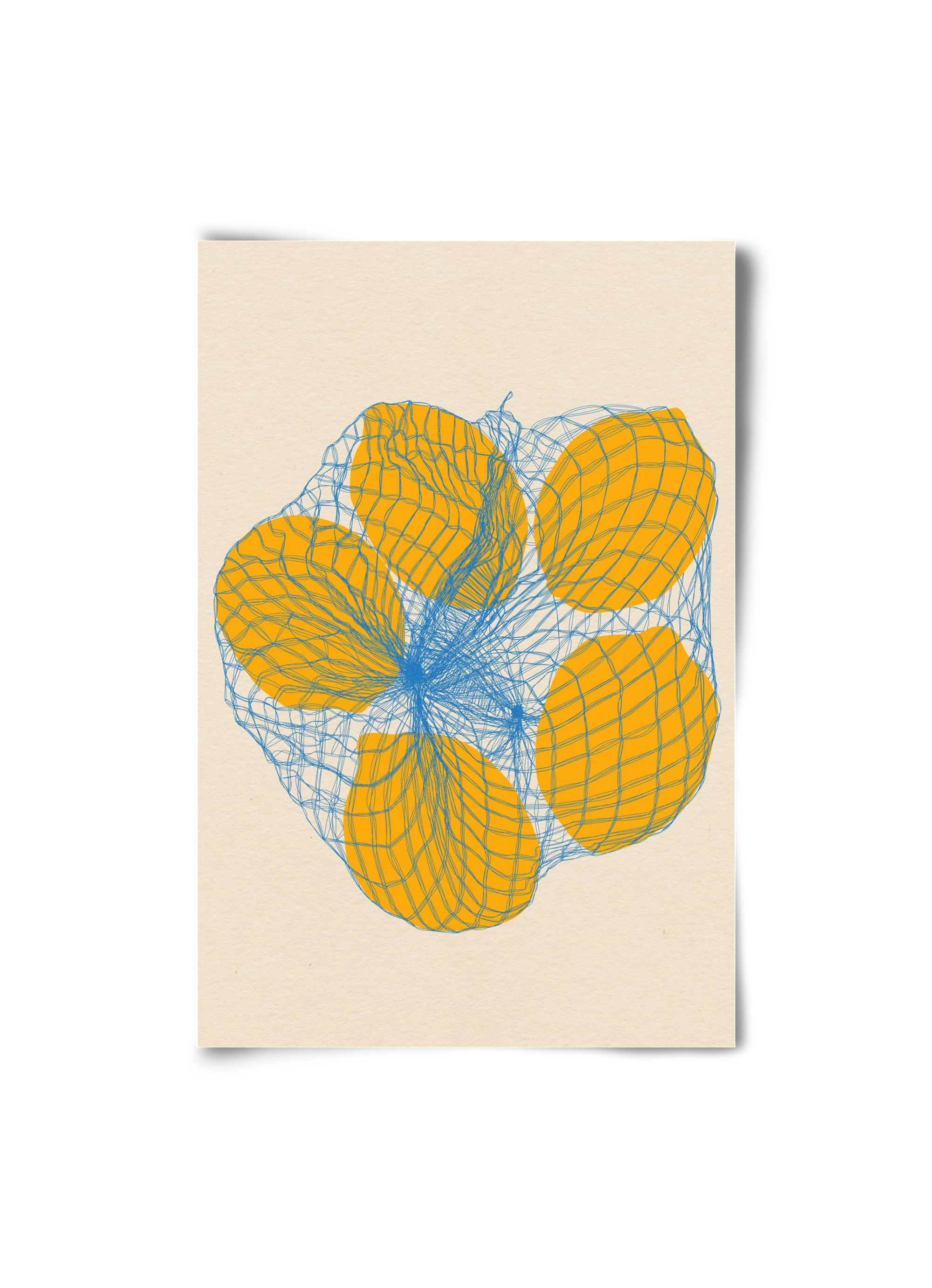 five lemons in a net bag, 20x30 cm, Keret nélkül