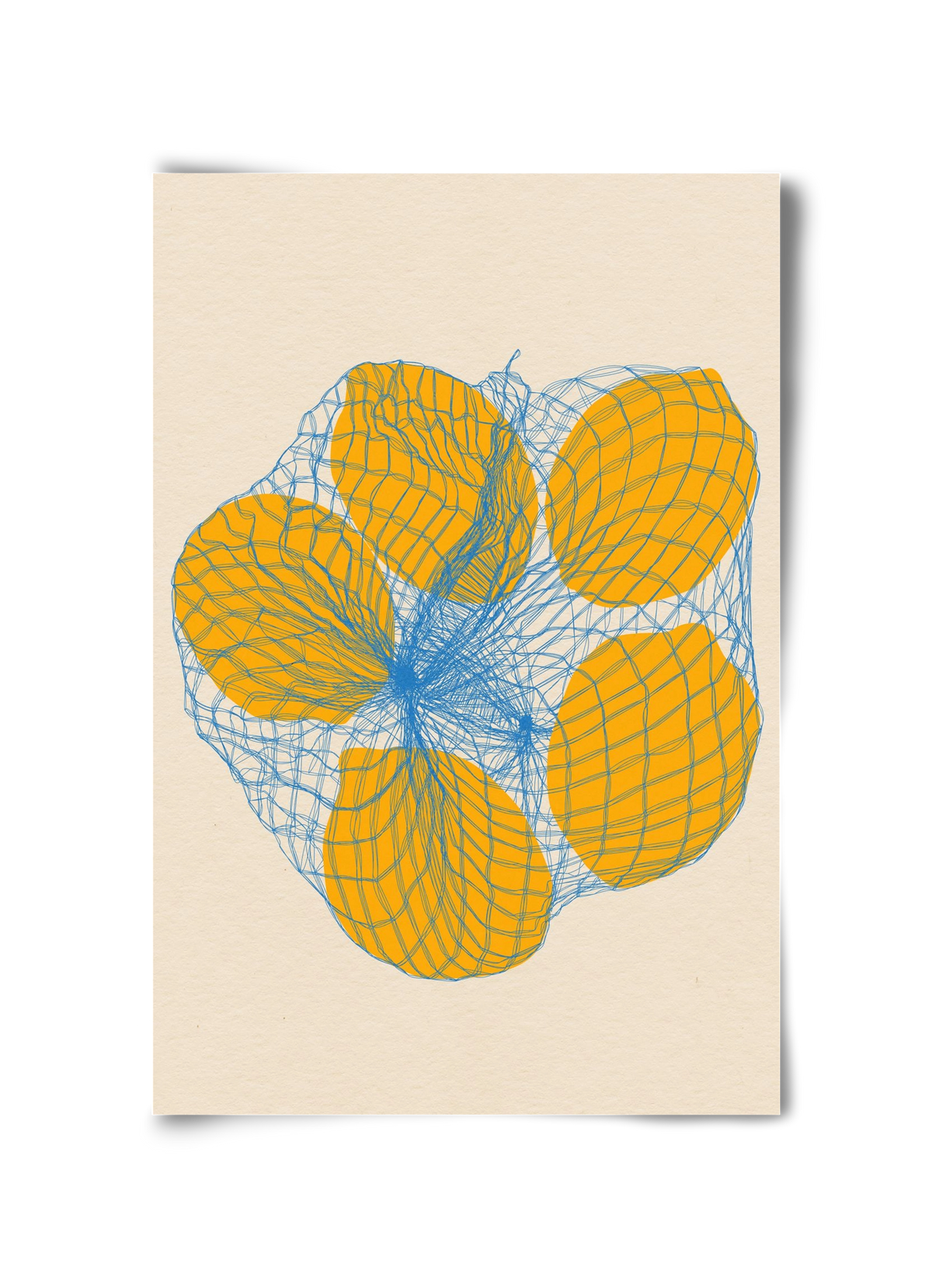 five lemons in a net bag, 30x45 cm, Keret nélkül