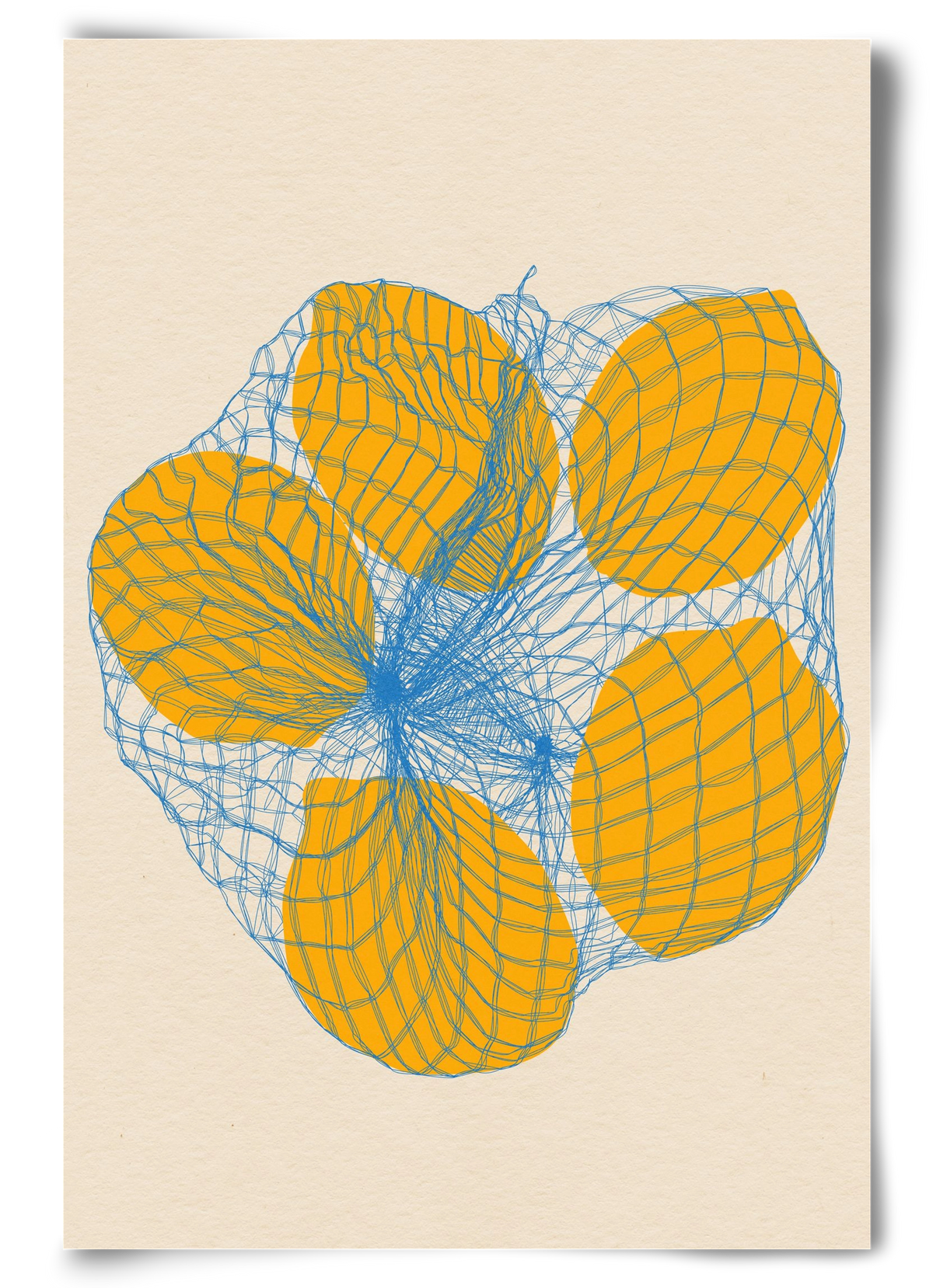 five lemons in a net bag, 60x90 cm, Keret nélkül