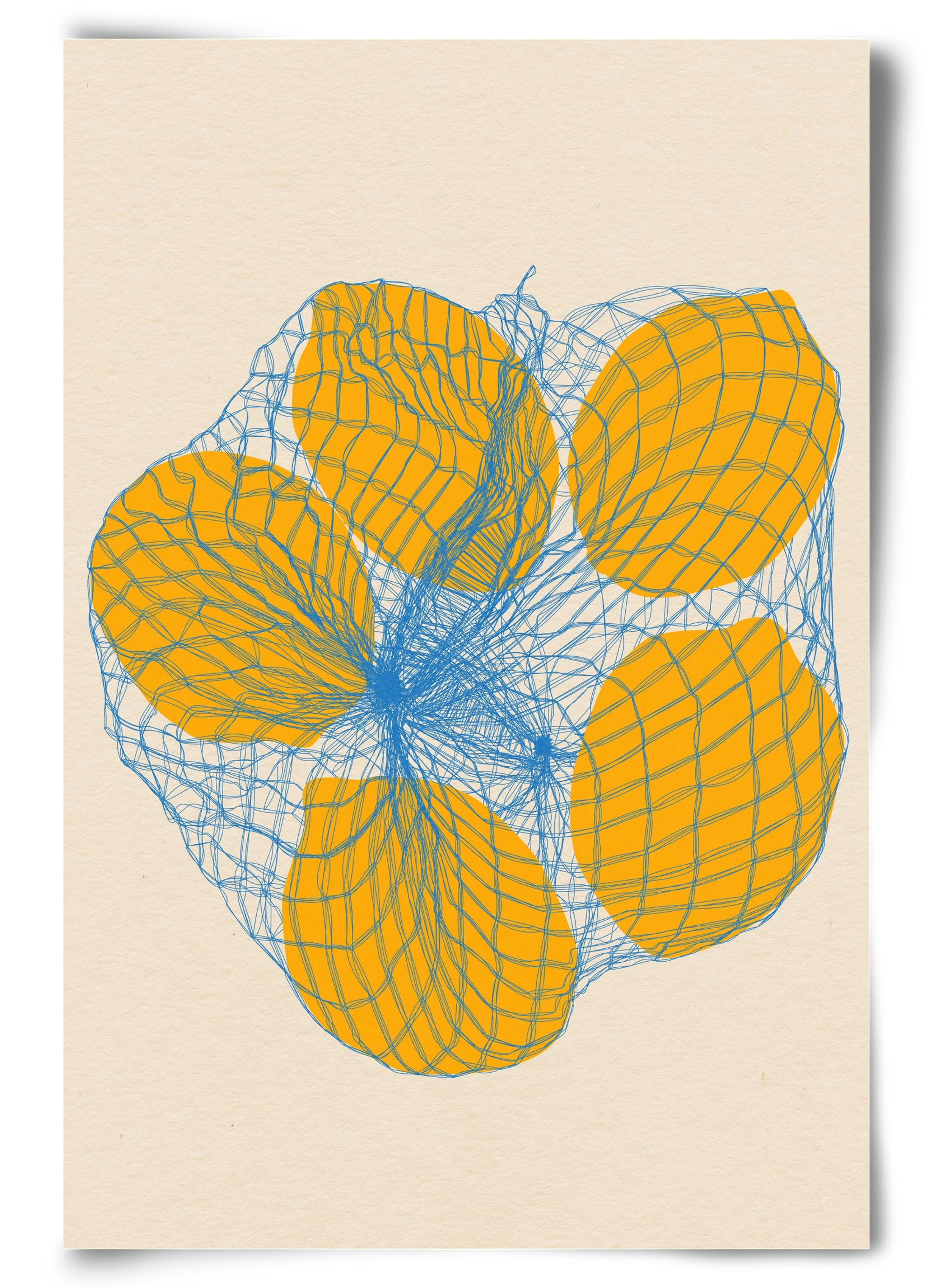 five lemons in a net bag, 60x90 cm, Keret nélkül