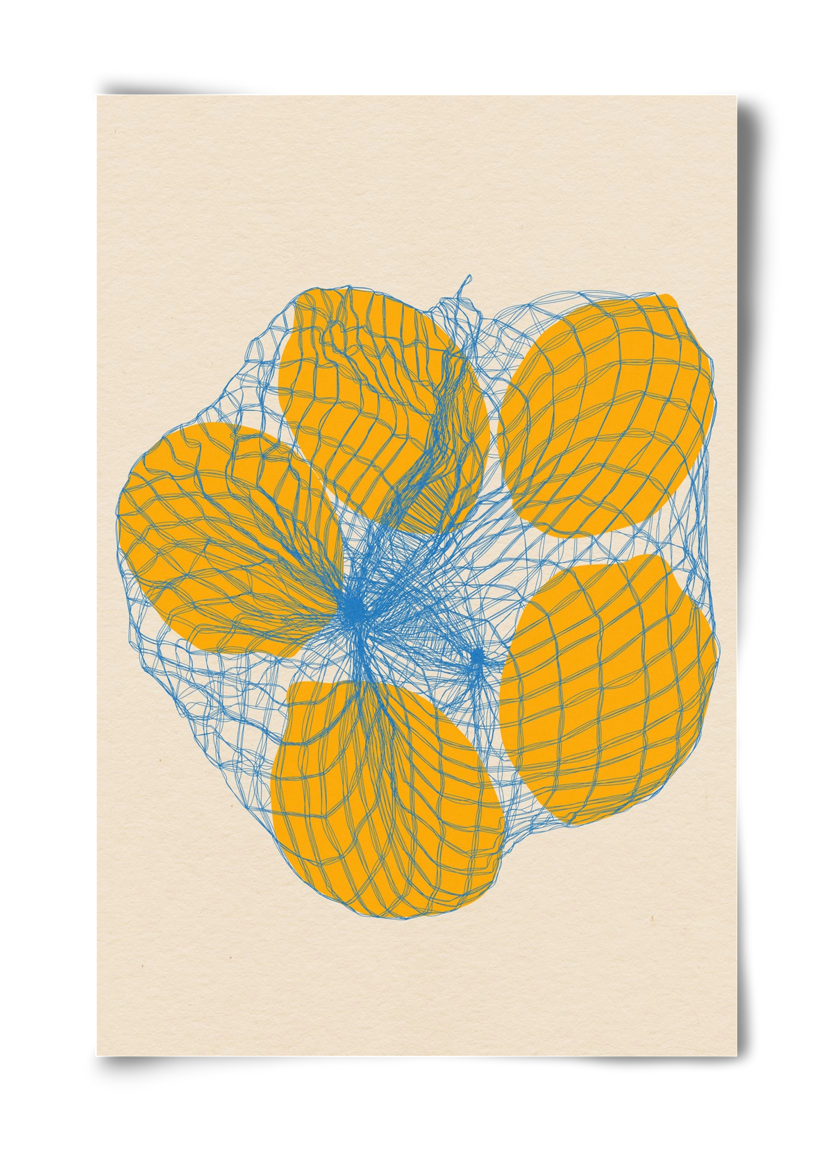 five lemons in a net bag, 40x60 cm, Keret nélkül