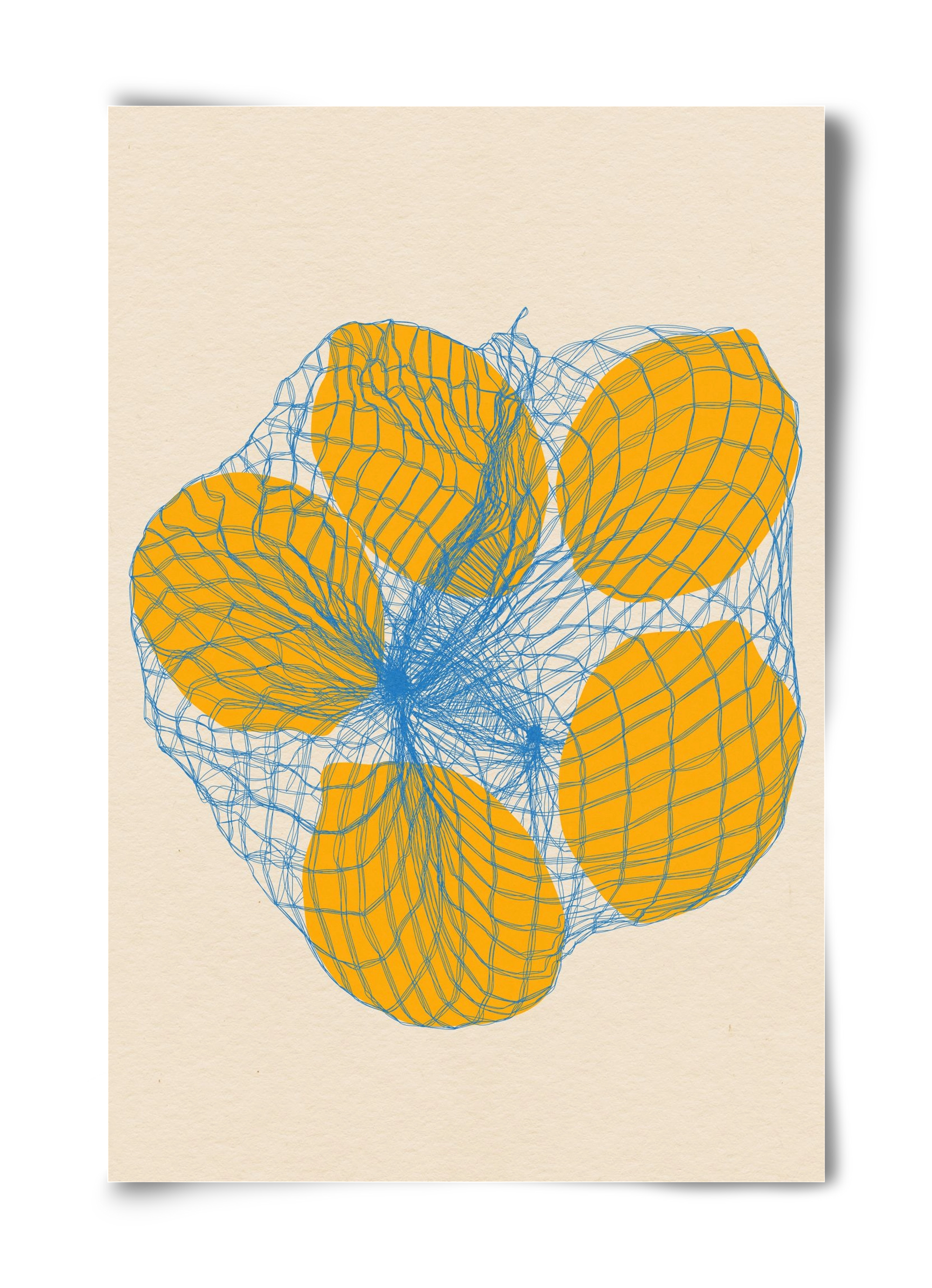 five lemons in a net bag, 40x60 cm, Keret nélkül