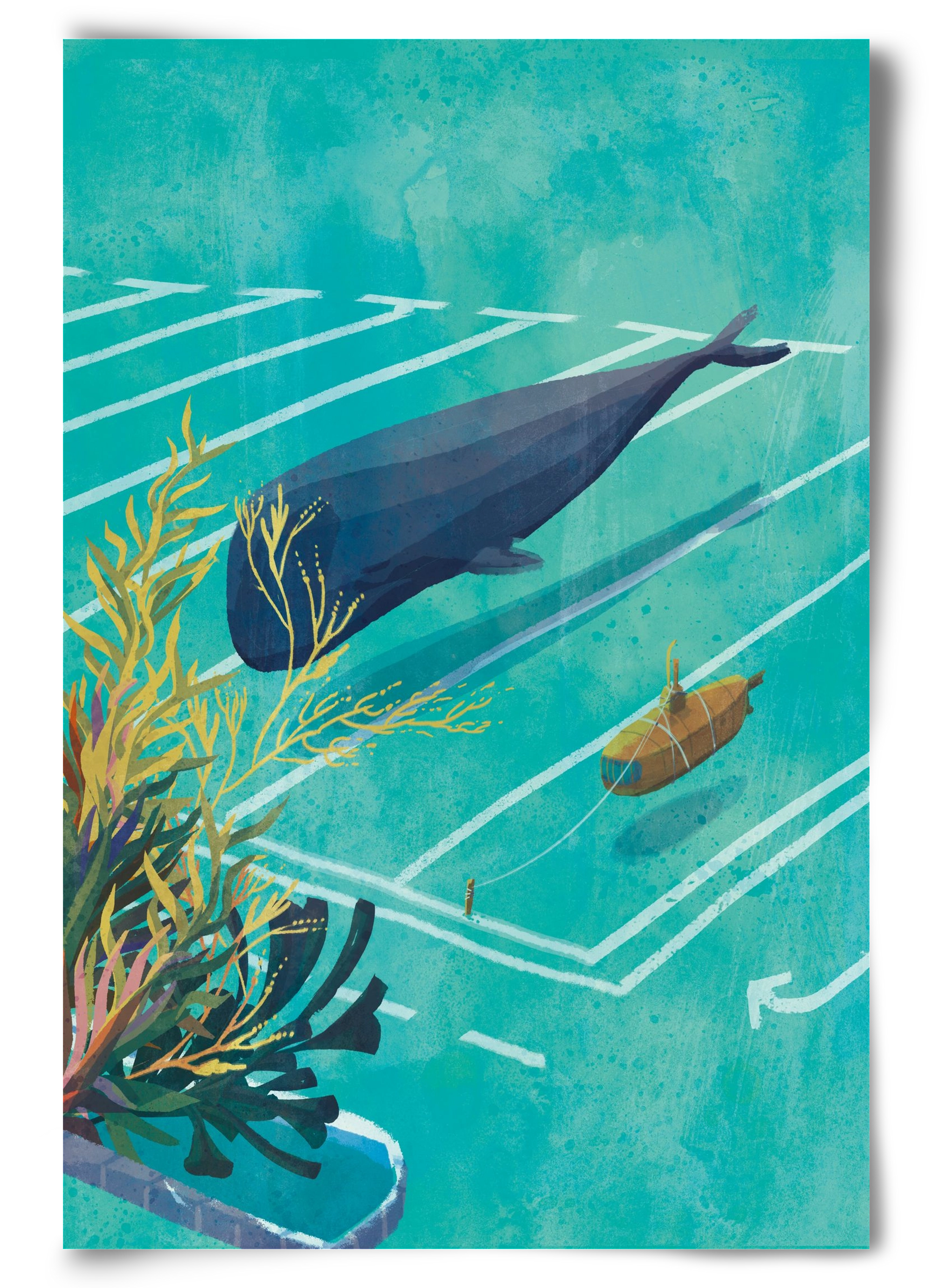 Whale in the parking lot, 60x90 cm, Keret nélkül