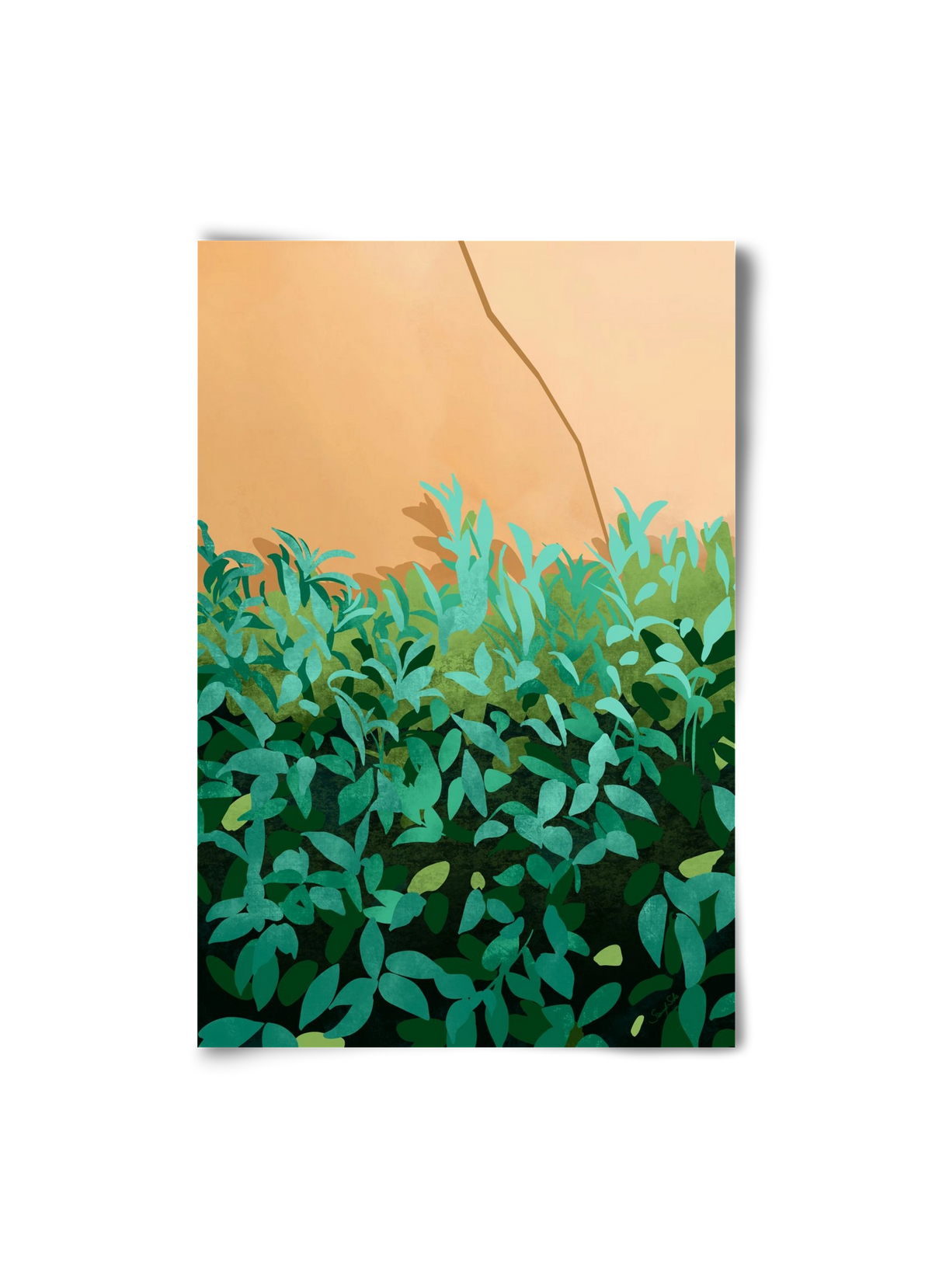 Elosztás, 20x30 cm, Keret nélkül