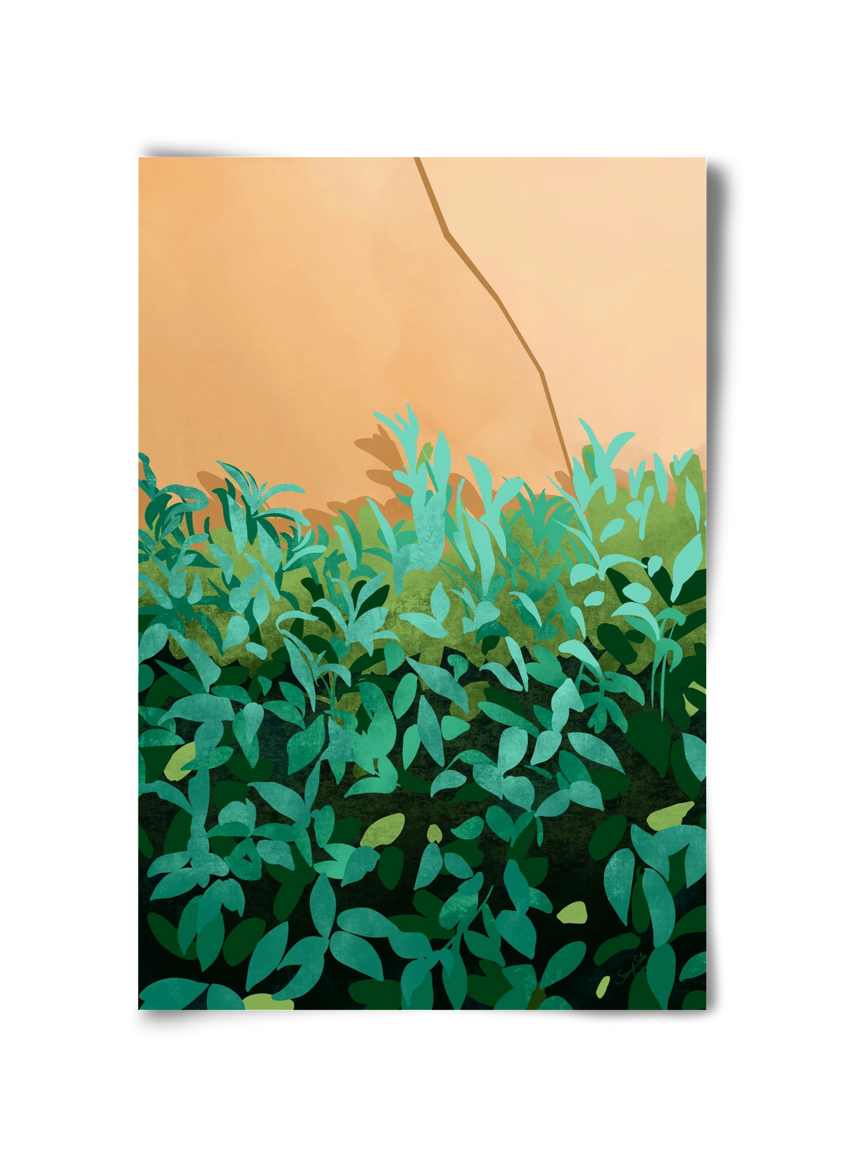 Elosztás, 30x45 cm, Keret nélkül