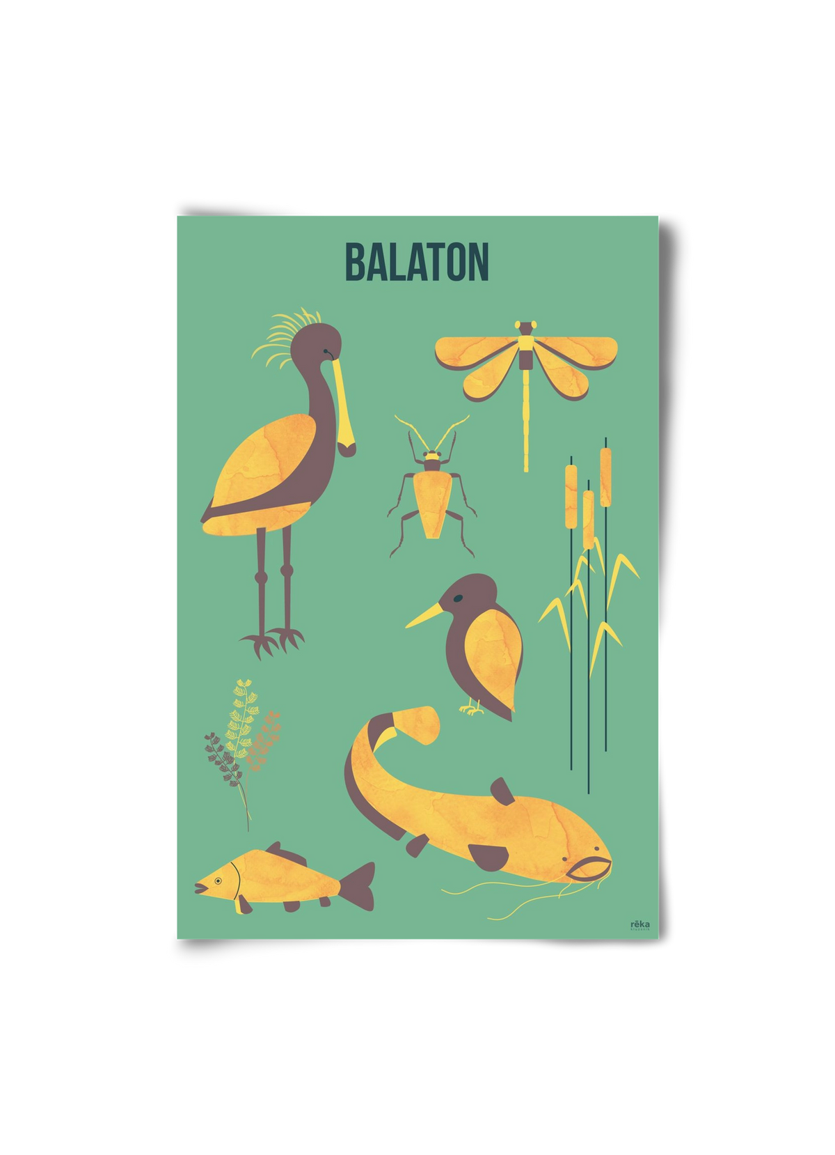 balaton, 20x30 cm, Keret nélkül