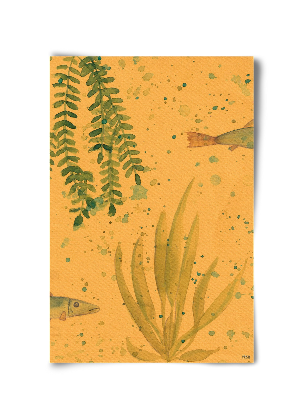 long fish, 30x45 cm, Keret nélkül