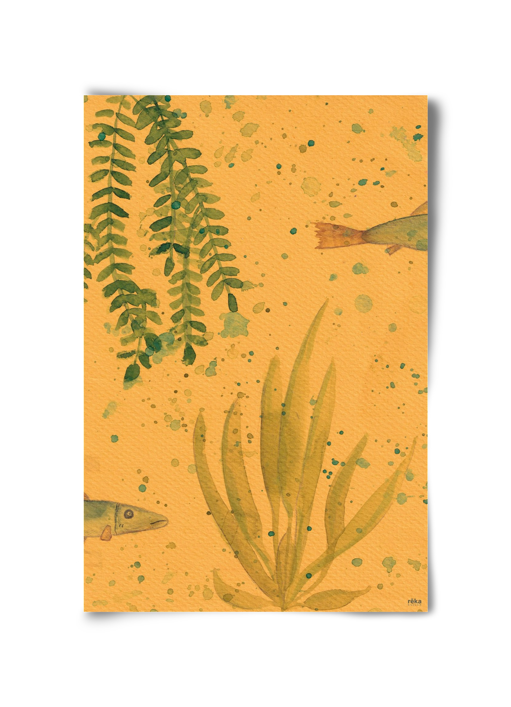 long fish, 30x45 cm, Keret nélkül