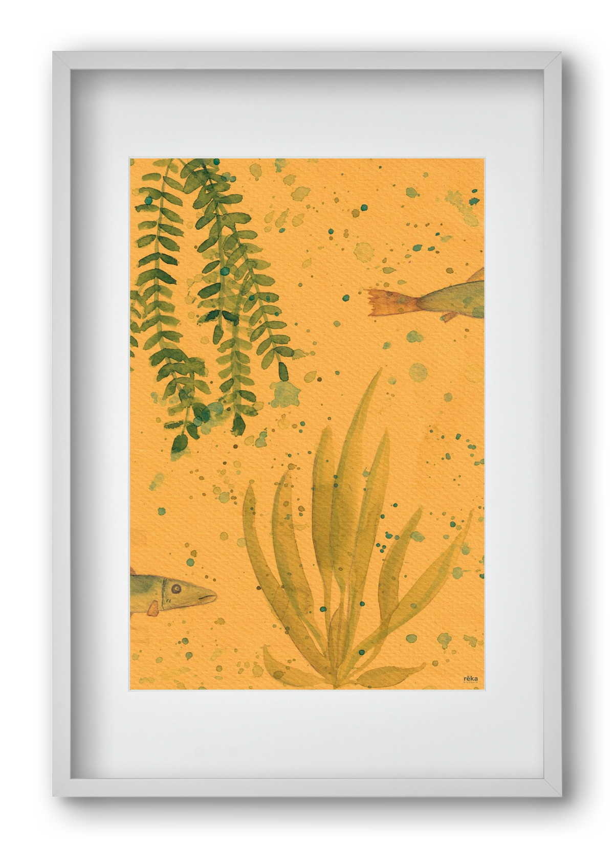 long fish, 40x60 cm (30x45 cm), Fehér keret, paszpartuval