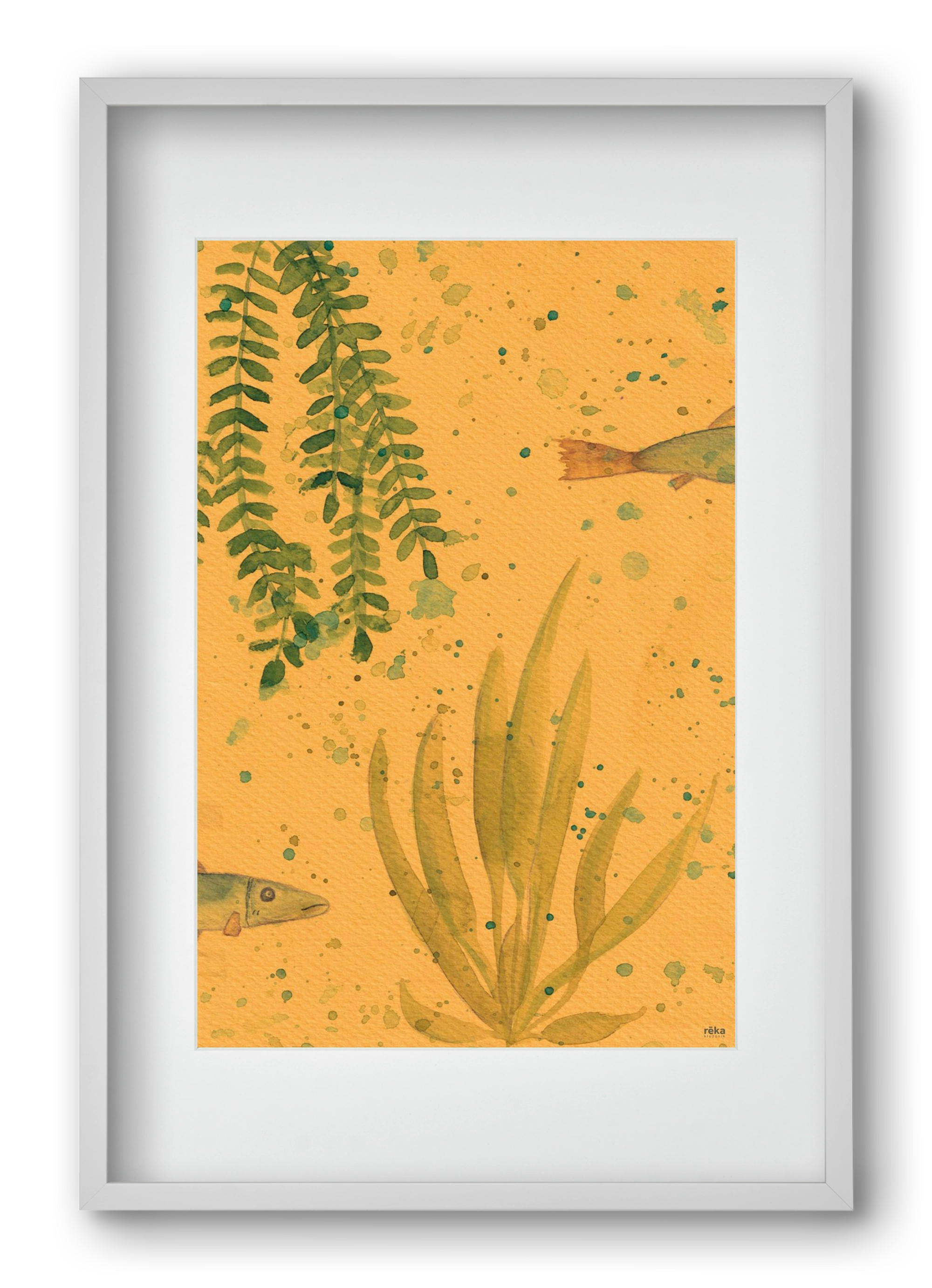 long fish, 40x60 cm (30x45 cm), Fehér keret, paszpartuval