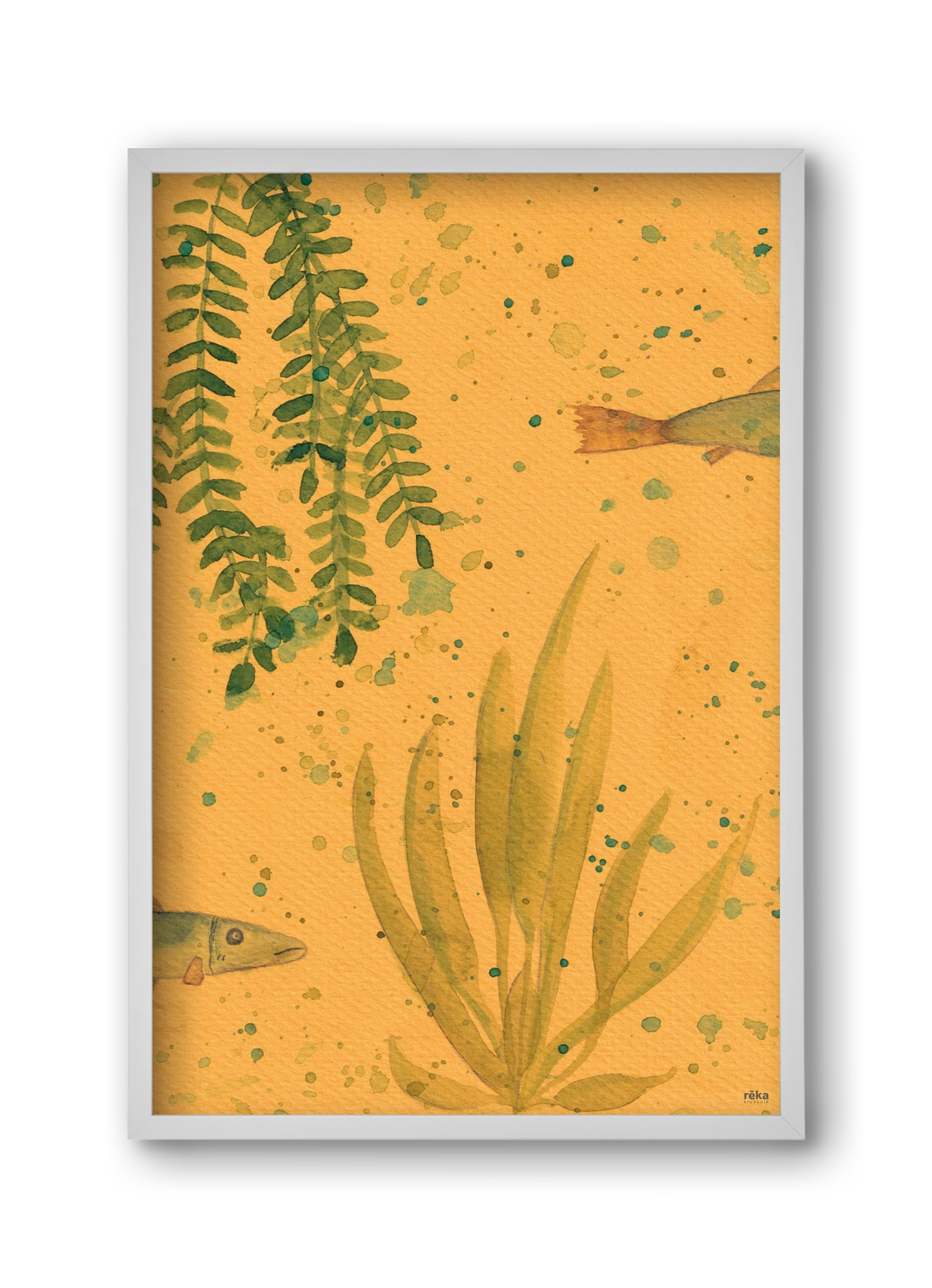 long fish, 30x45 cm (30x45 cm), Fehér keret