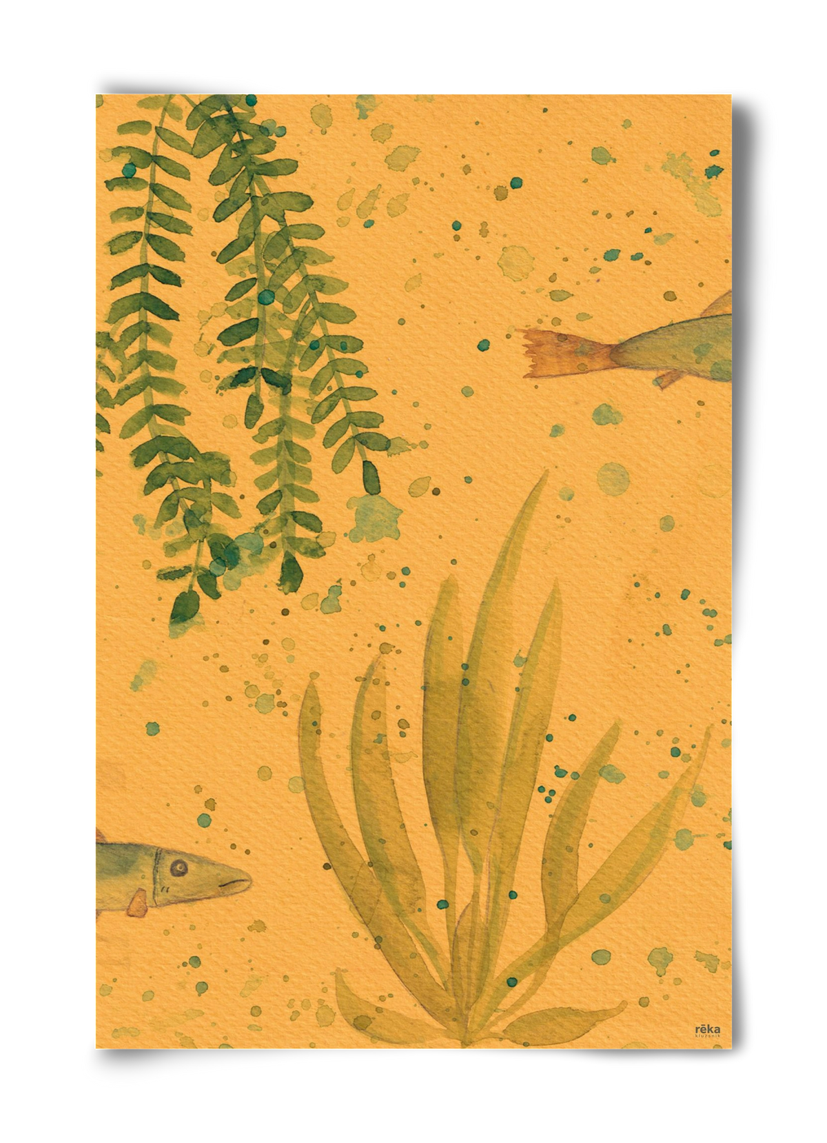 long fish, 40x60 cm, Keret nélkül