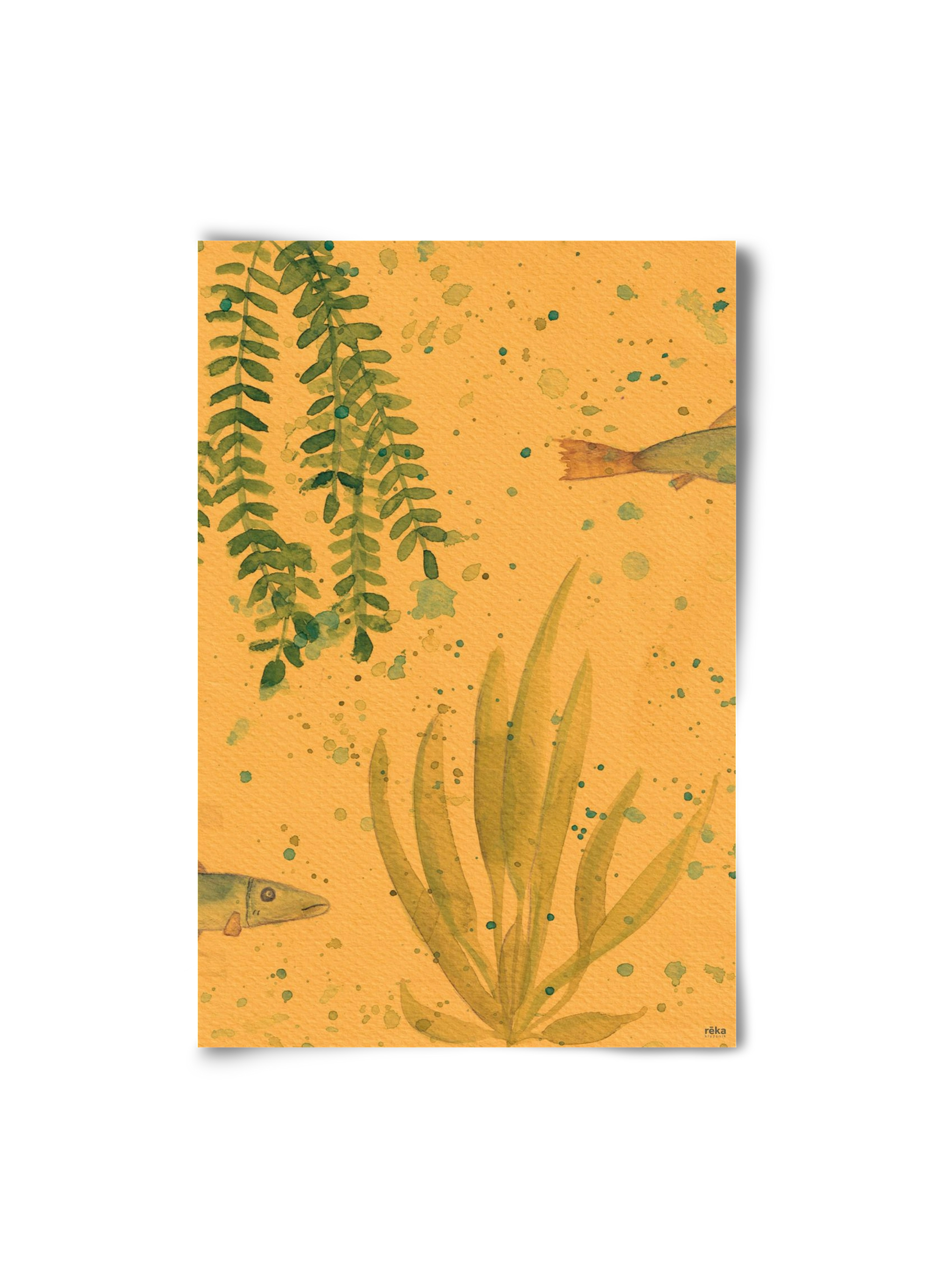 long fish, 20x30 cm, Keret nélkül