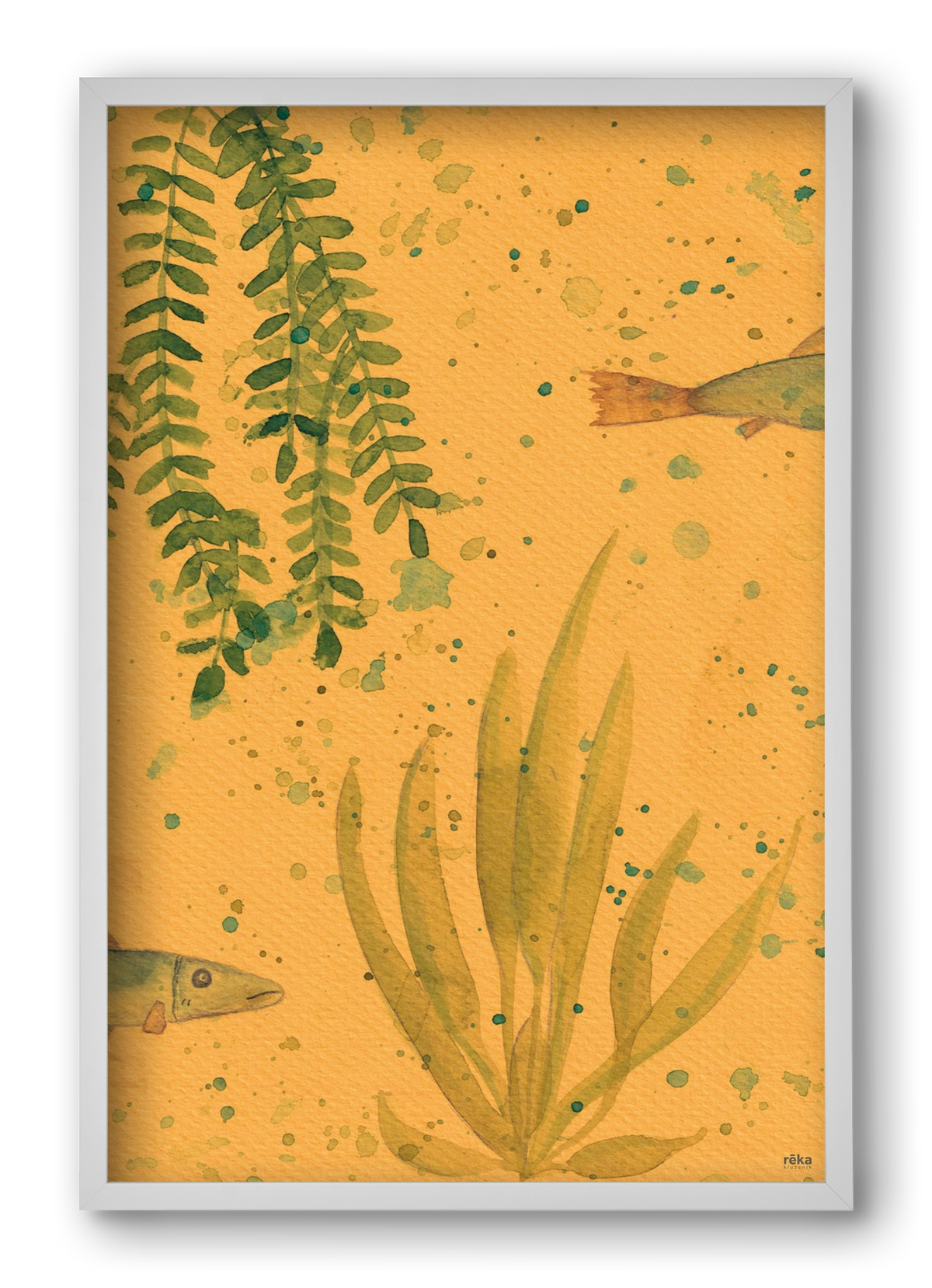 long fish, 40x60 cm (40x60 cm), Fehér keret