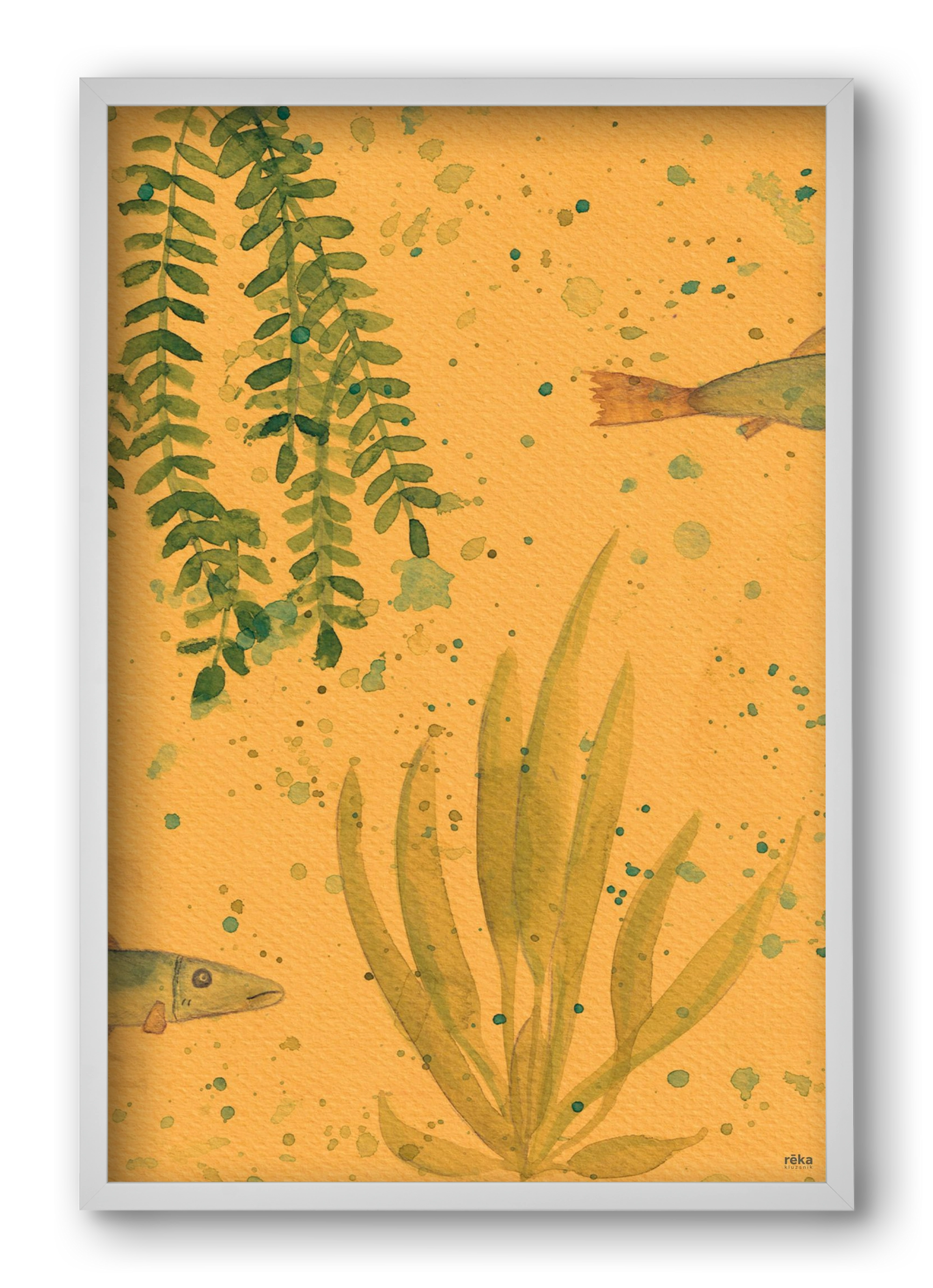 long fish, 40x60 cm (40x60 cm), Fehér keret