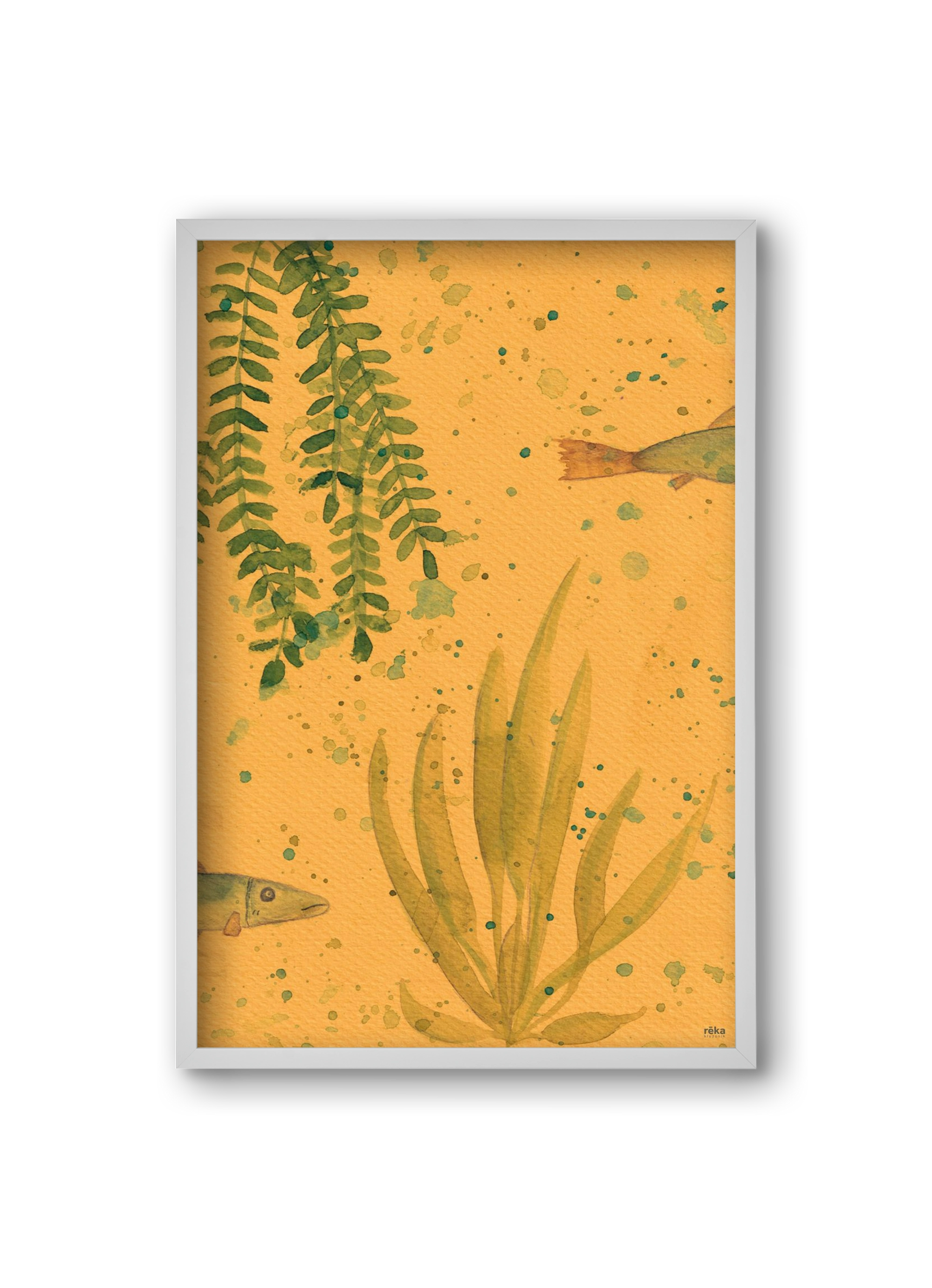 long fish, 20x30 cm (20x30 cm), Fehér keret