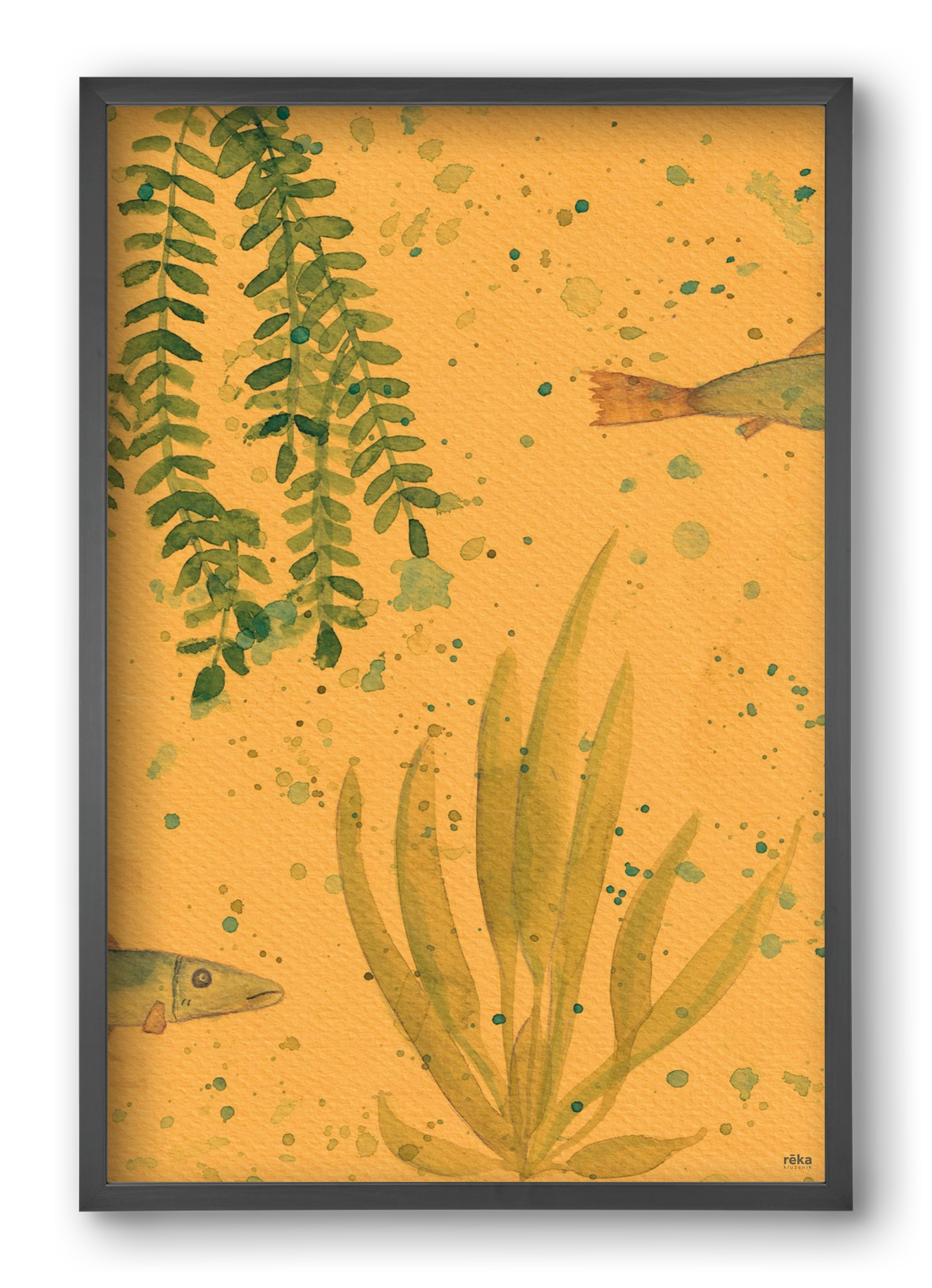 long fish, 40x60 cm (40x60 cm), Fekete keret
