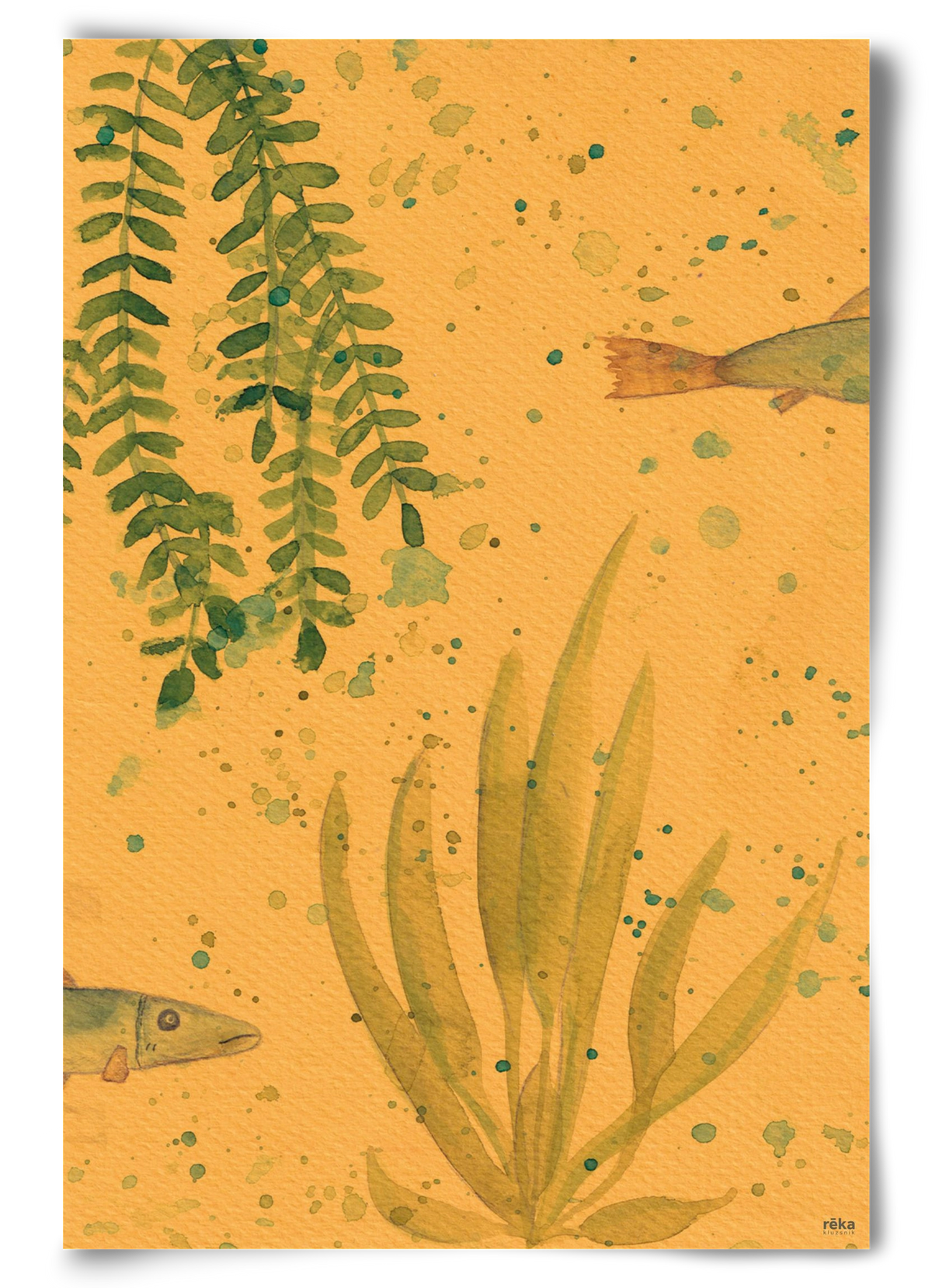 long fish, 60x90 cm, Keret nélkül