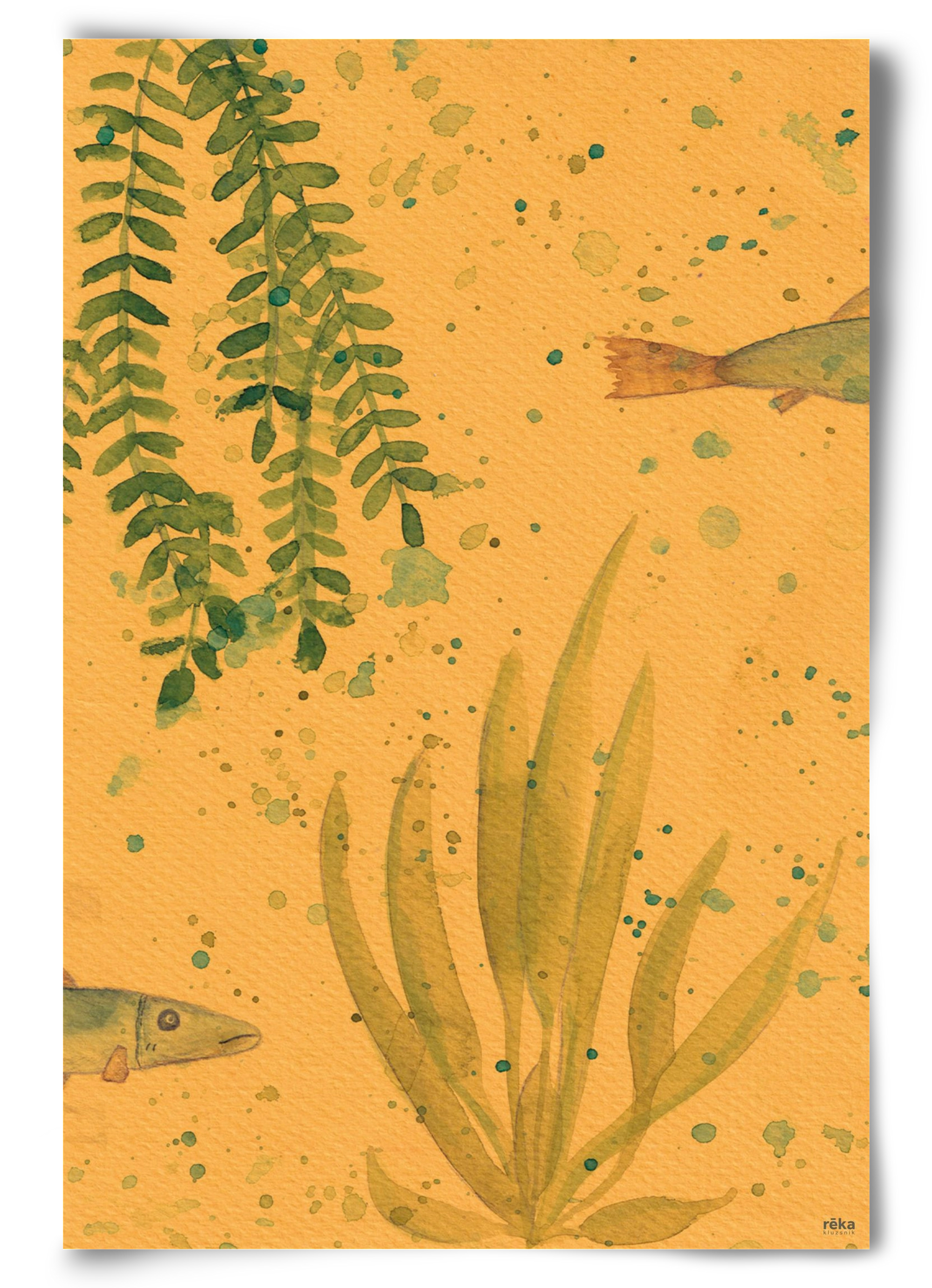 long fish, 60x90 cm, Keret nélkül