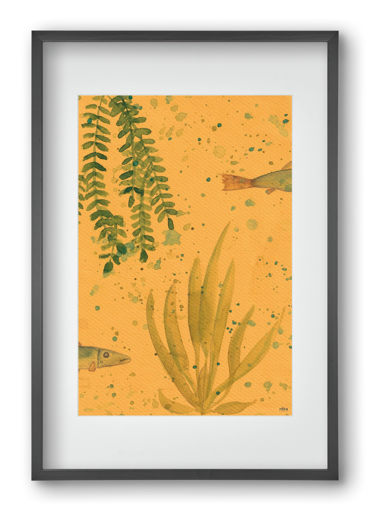 long fish, 40x60 cm (30x45 cm), Fekete keret, paszpartuval