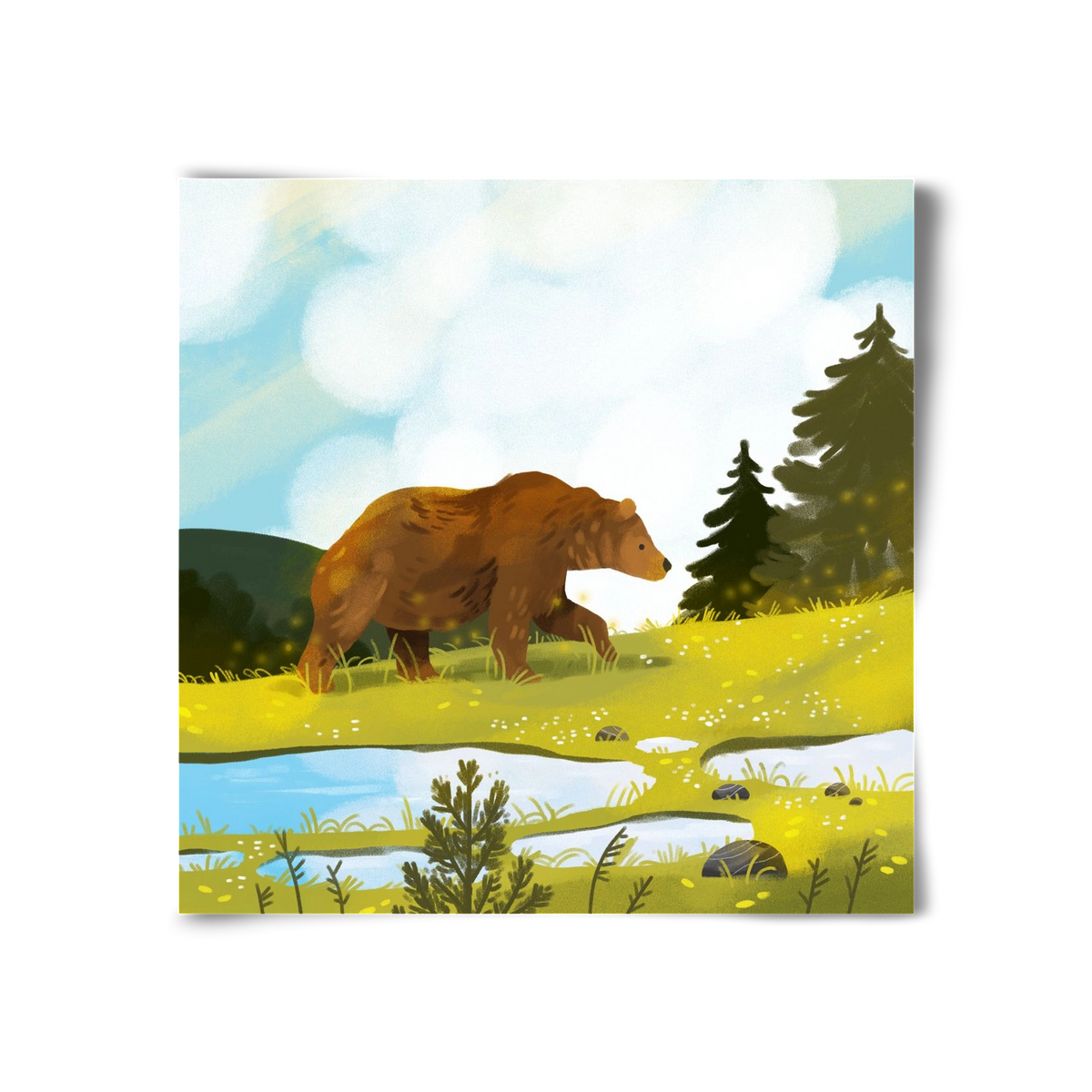 The Bear, 30x30 cm, Keret nélkül