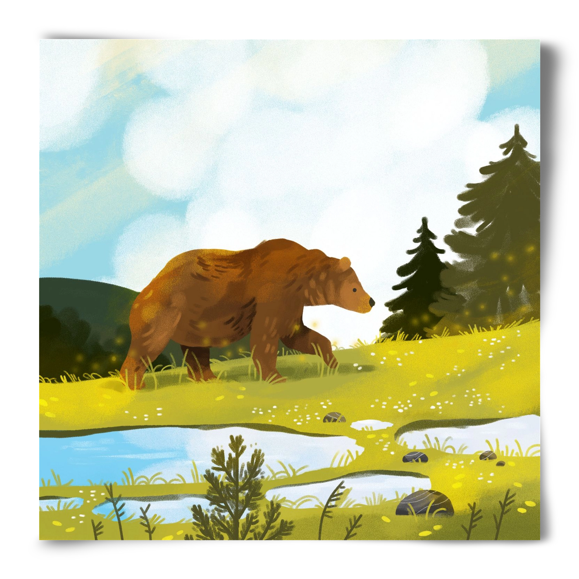 The Bear, 50x50 cm, Keret nélkül