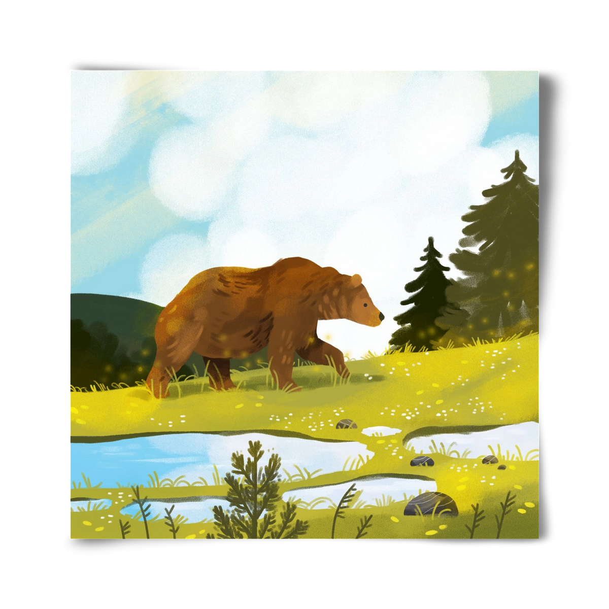 The Bear, 40x40 cm, Keret nélkül