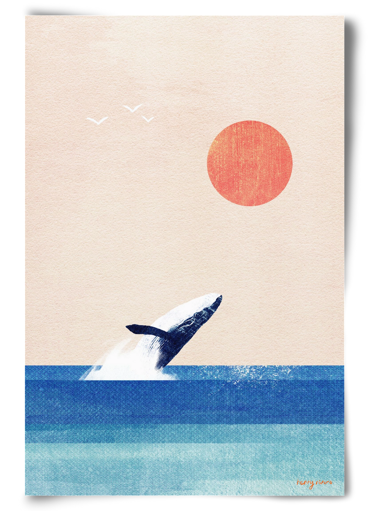 The whale, 60x90 cm, Keret nélkül