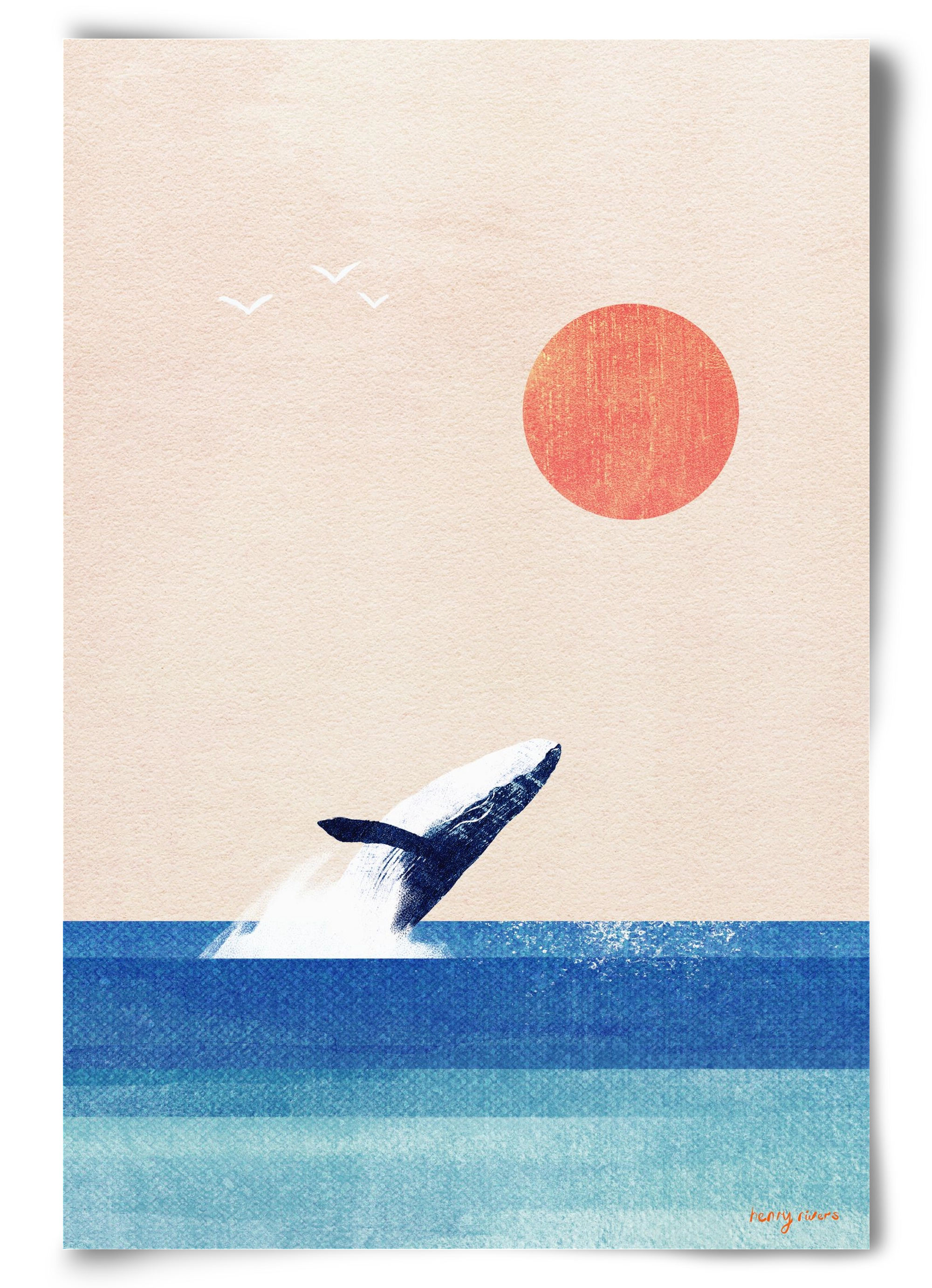 The whale, 60x90 cm, Keret nélkül