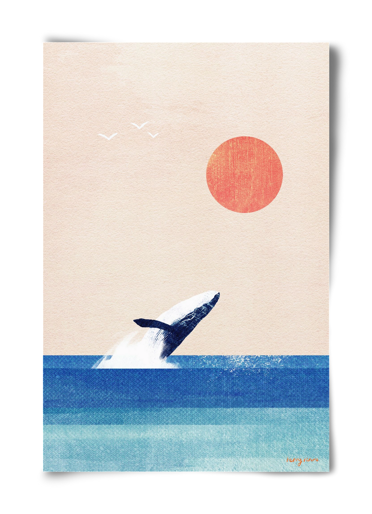 The whale, 40x60 cm, Keret nélkül