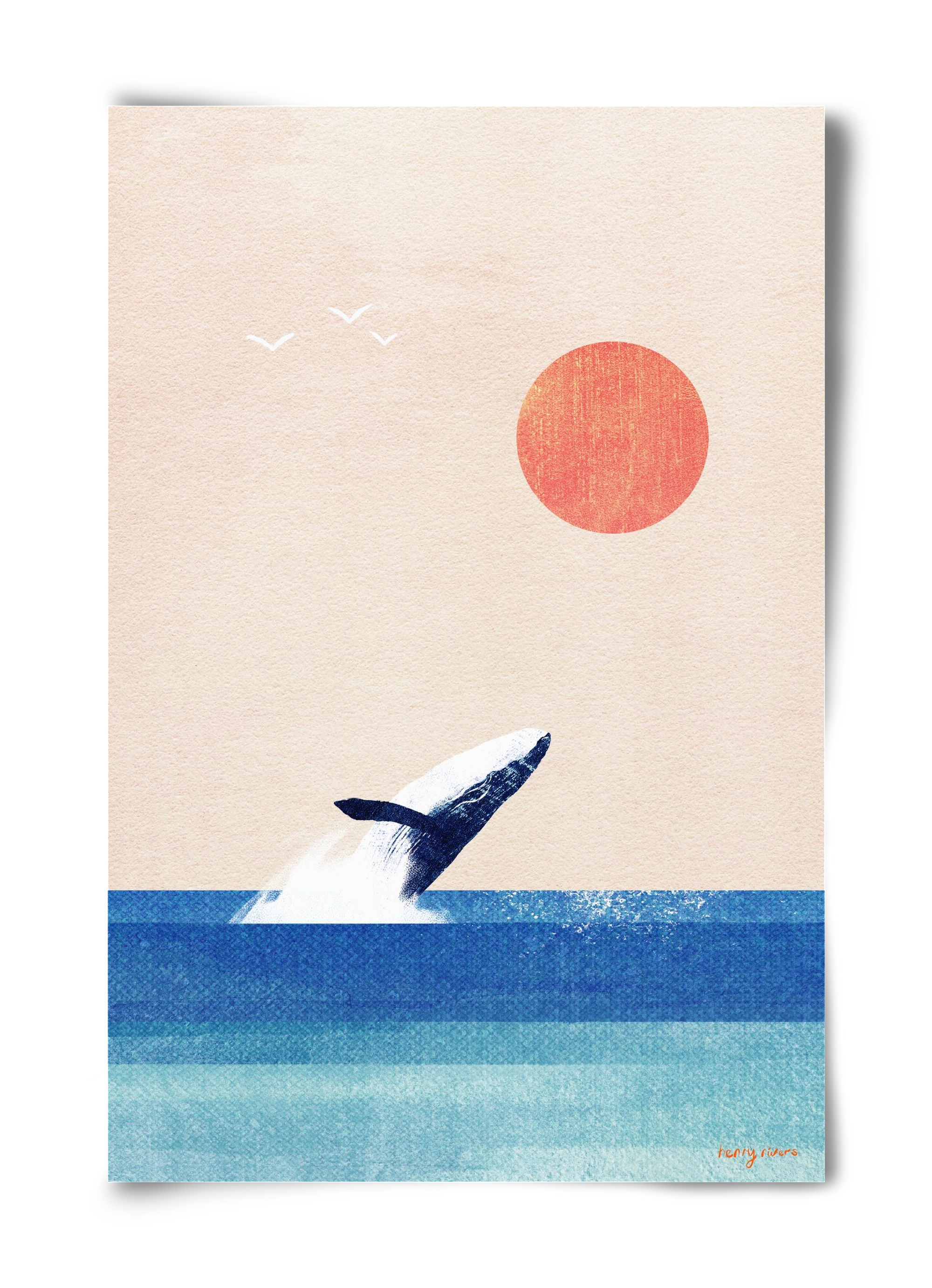 The whale, 40x60 cm, Keret nélkül