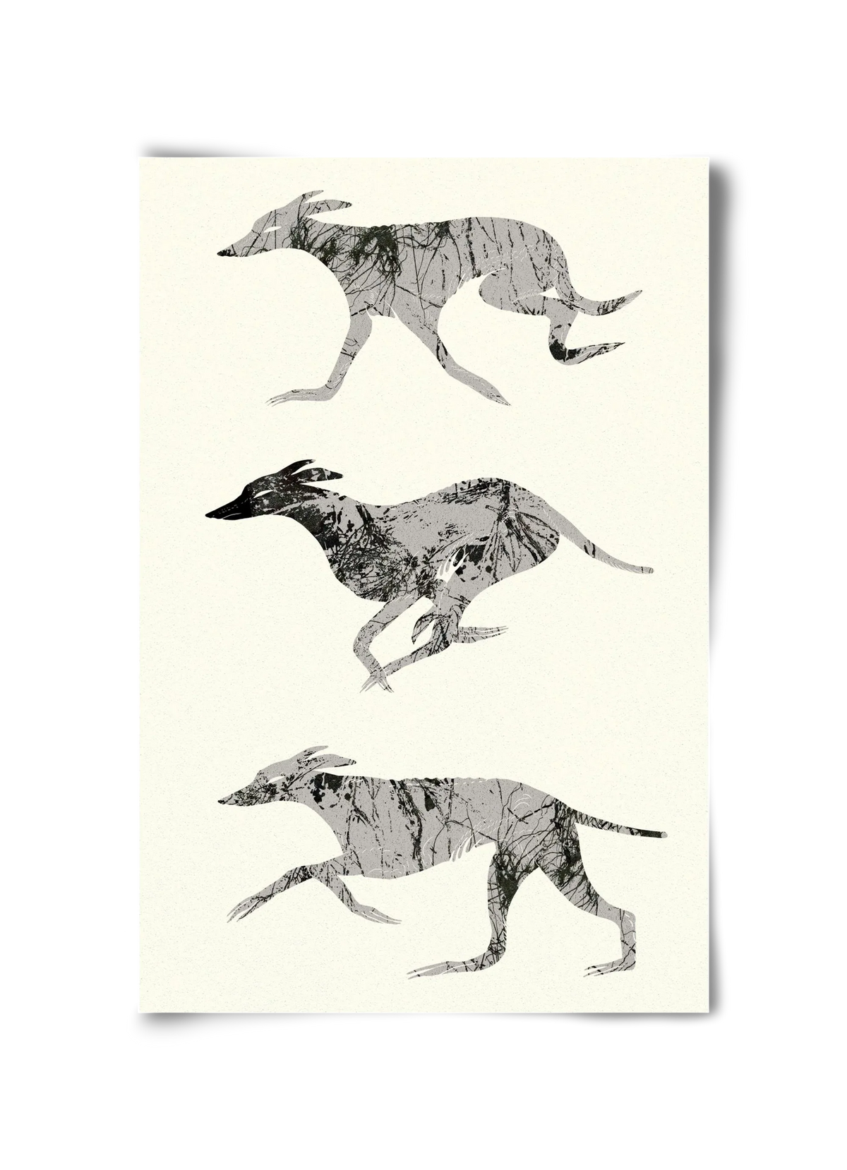 greyhounds - artbridge