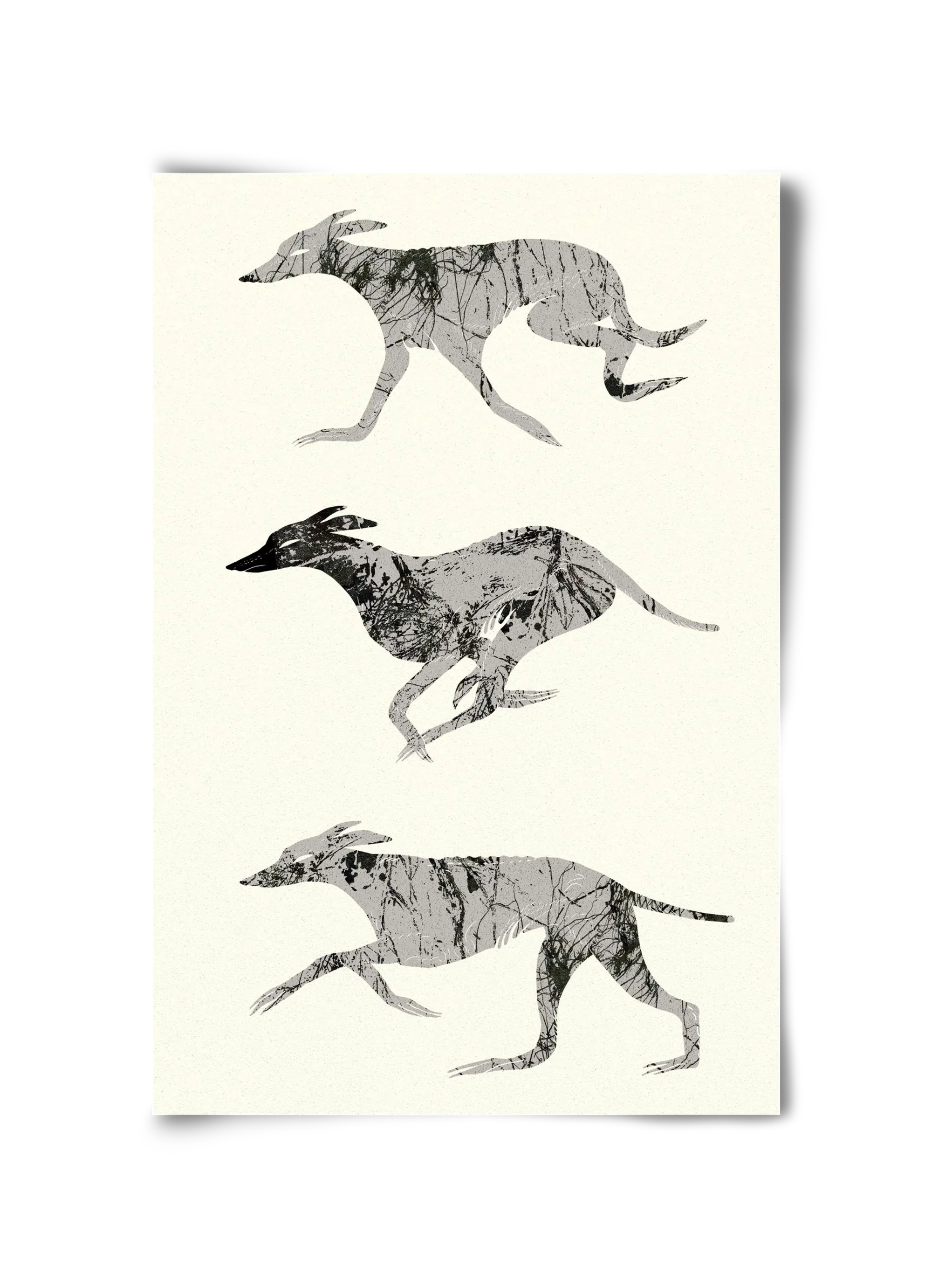 greyhounds - artbridge