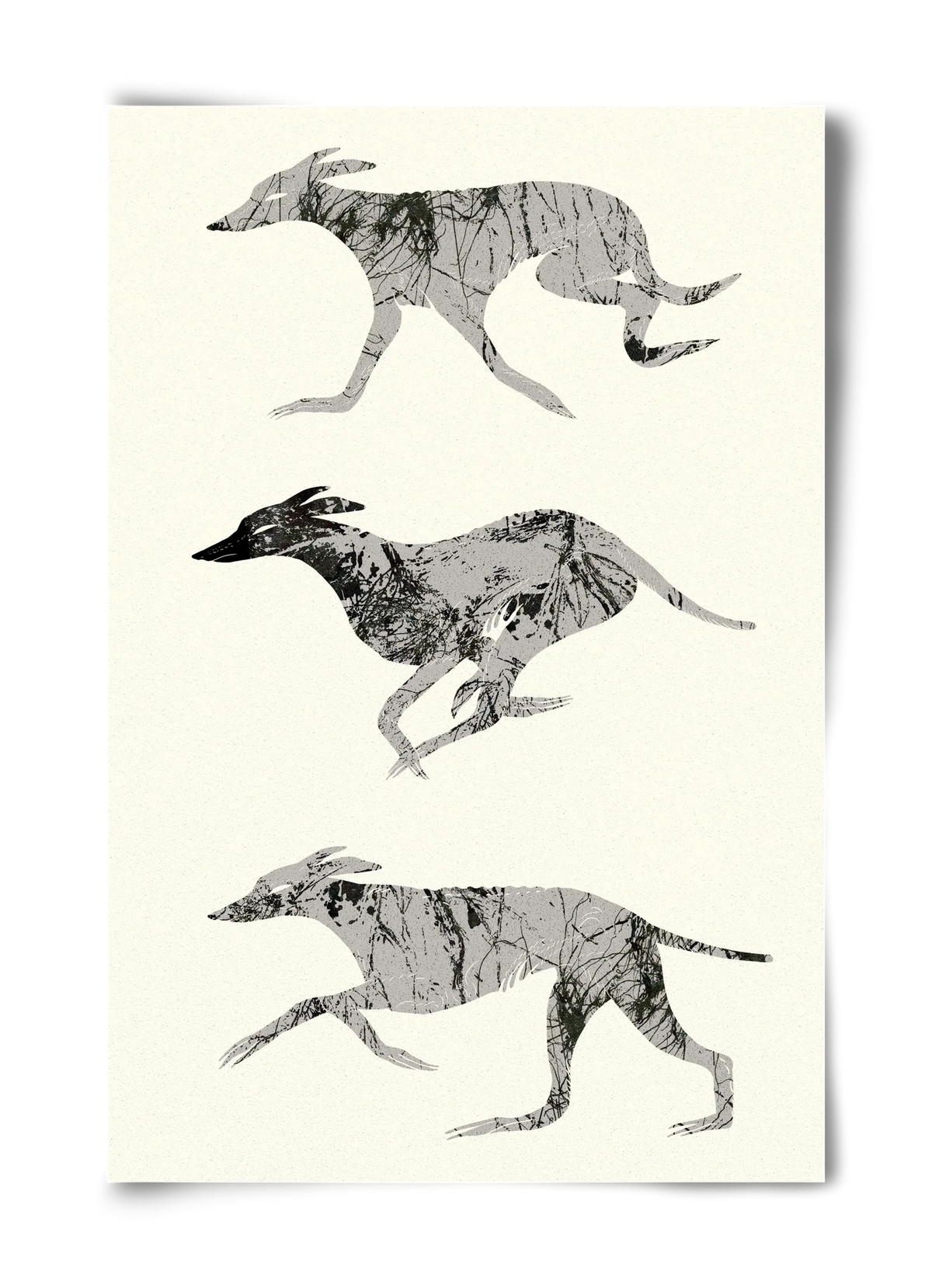 greyhounds - artbridge