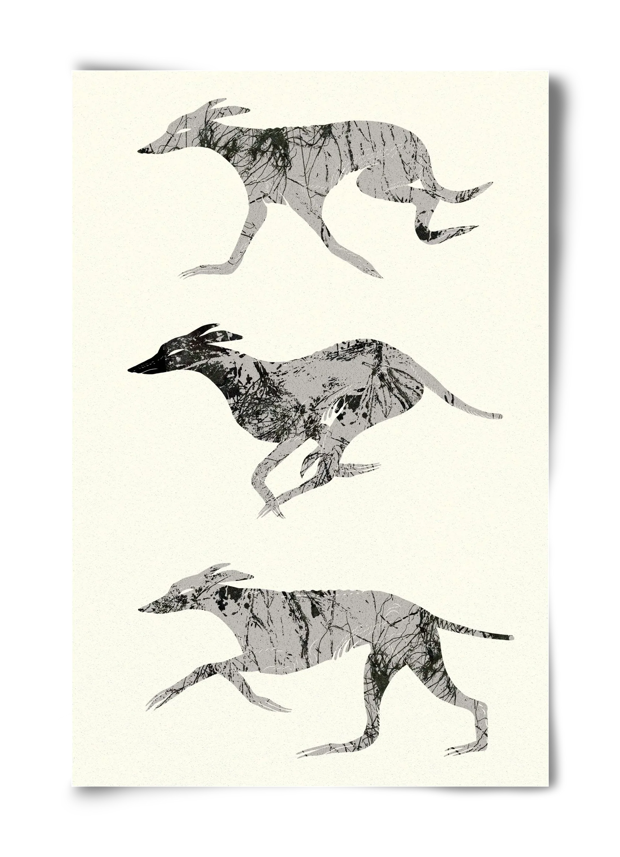 greyhounds - artbridge