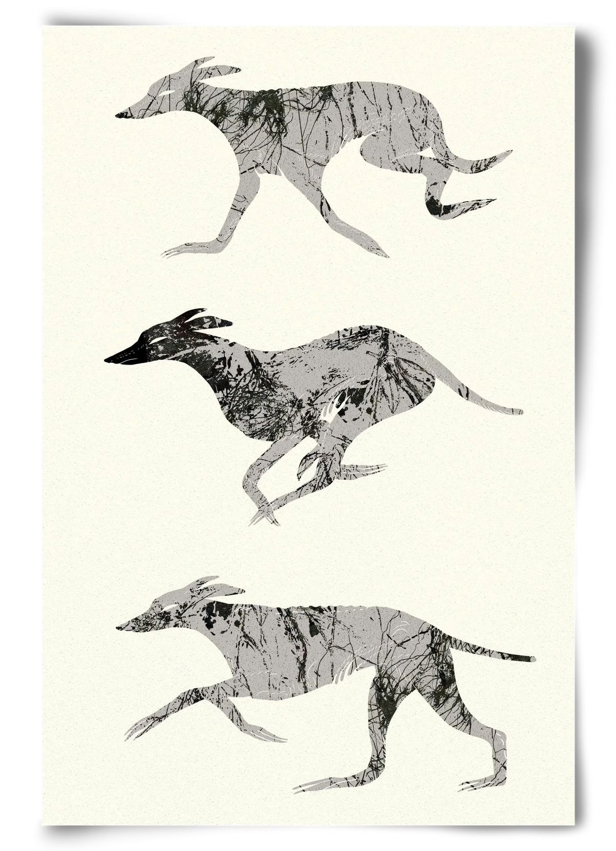 greyhounds - artbridge