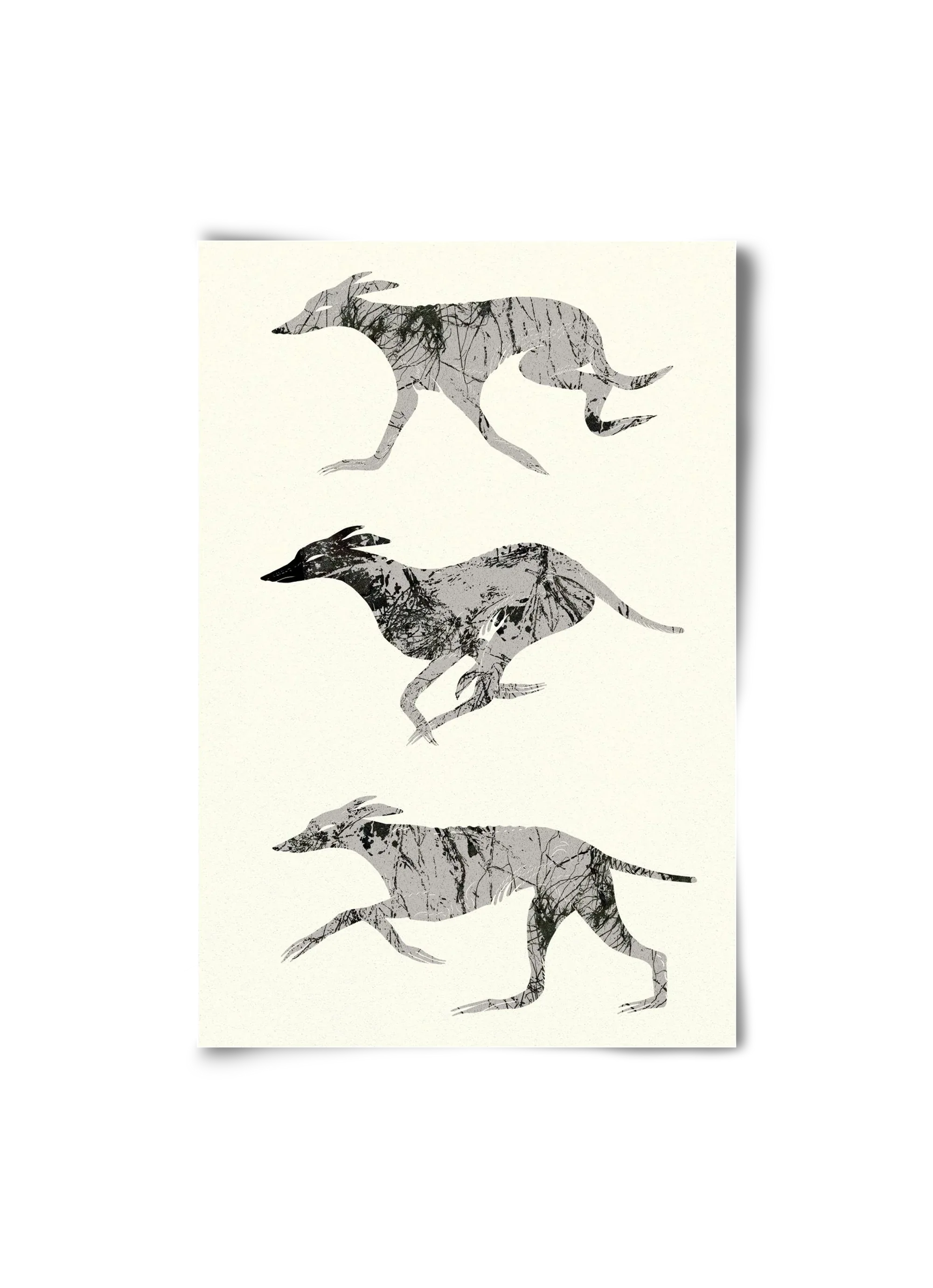 greyhounds - artbridge