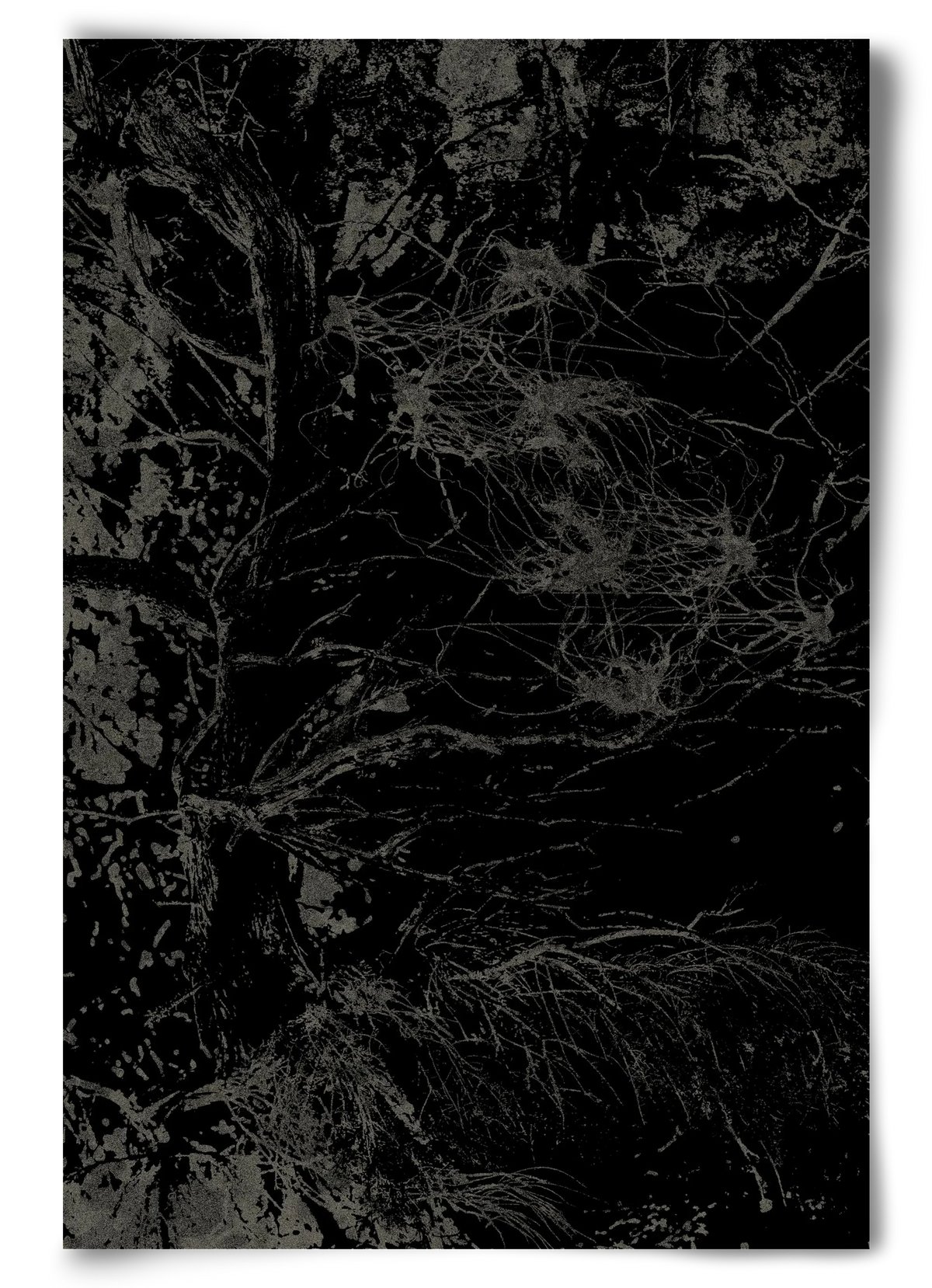 not lingering anymore - artbridge