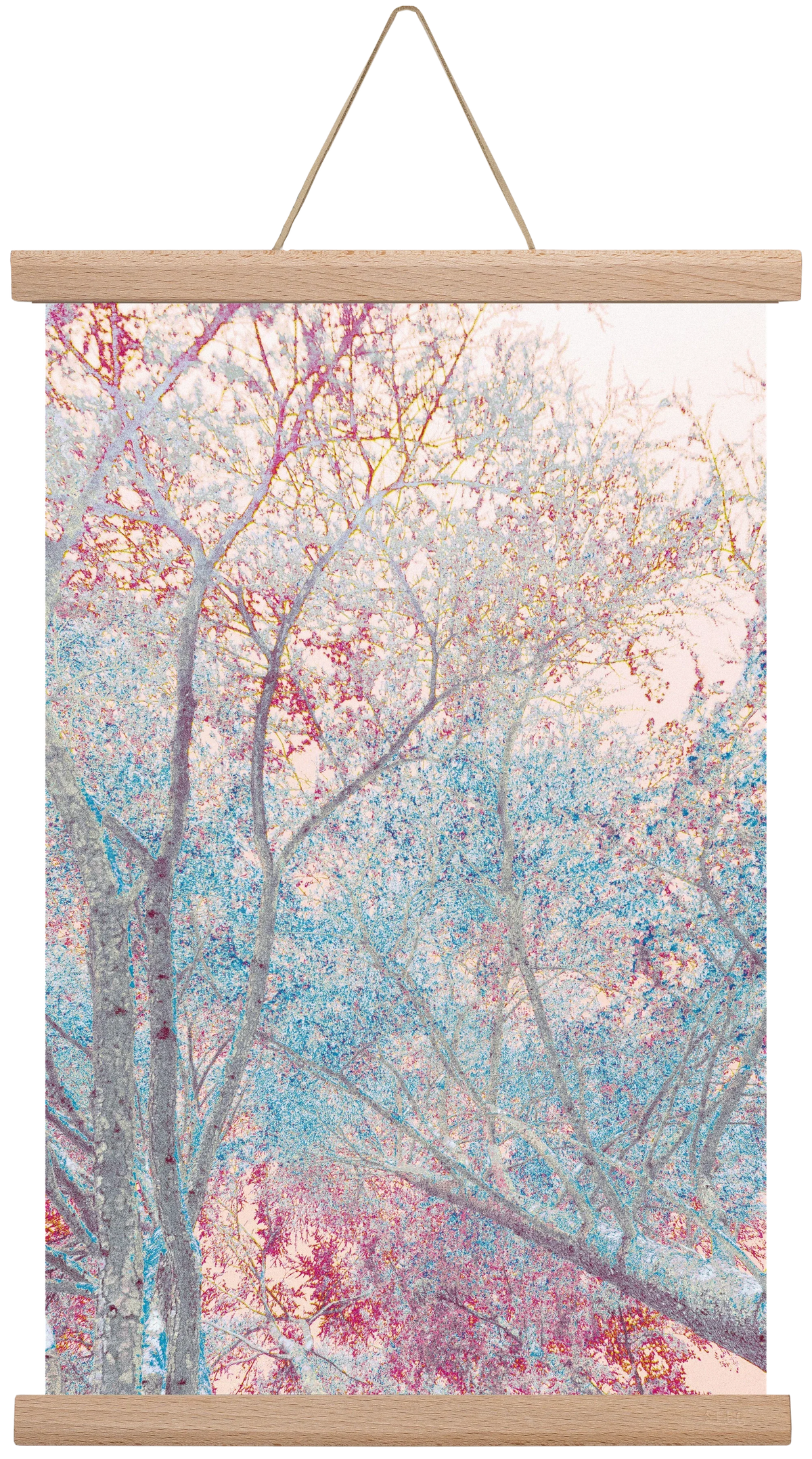 luminous - artbridge