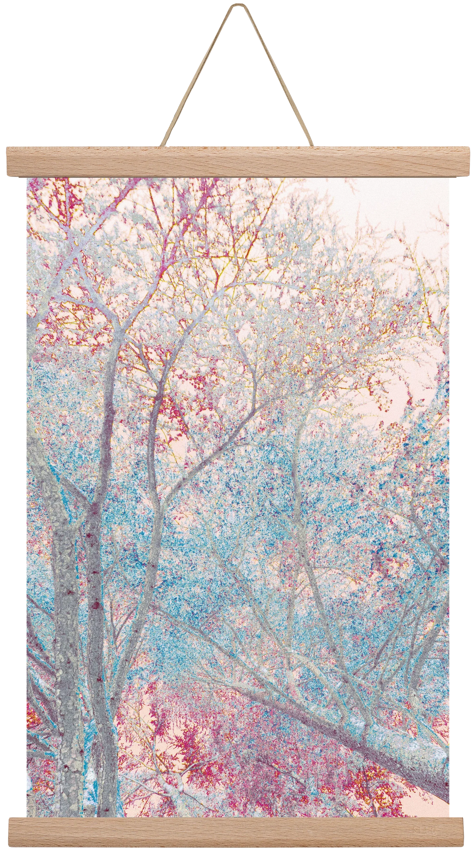 luminous - artbridge