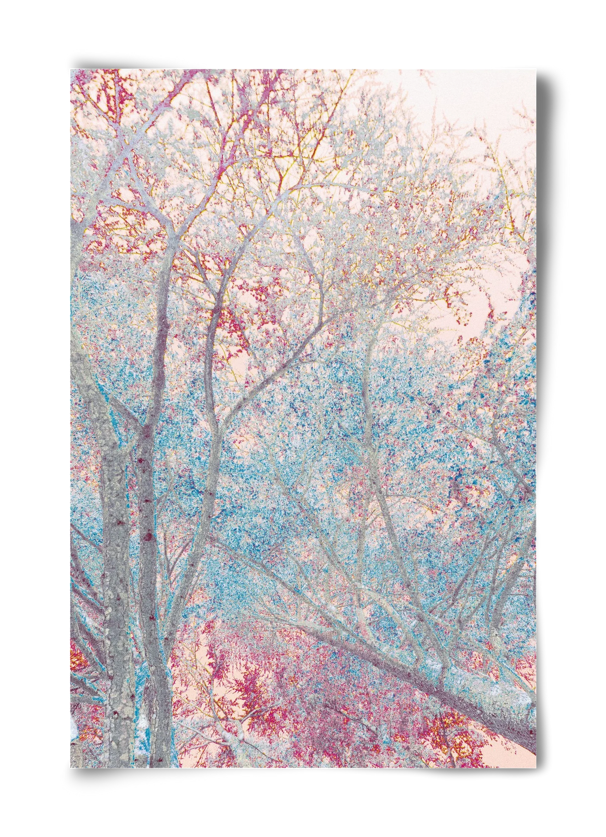 luminous - artbridge