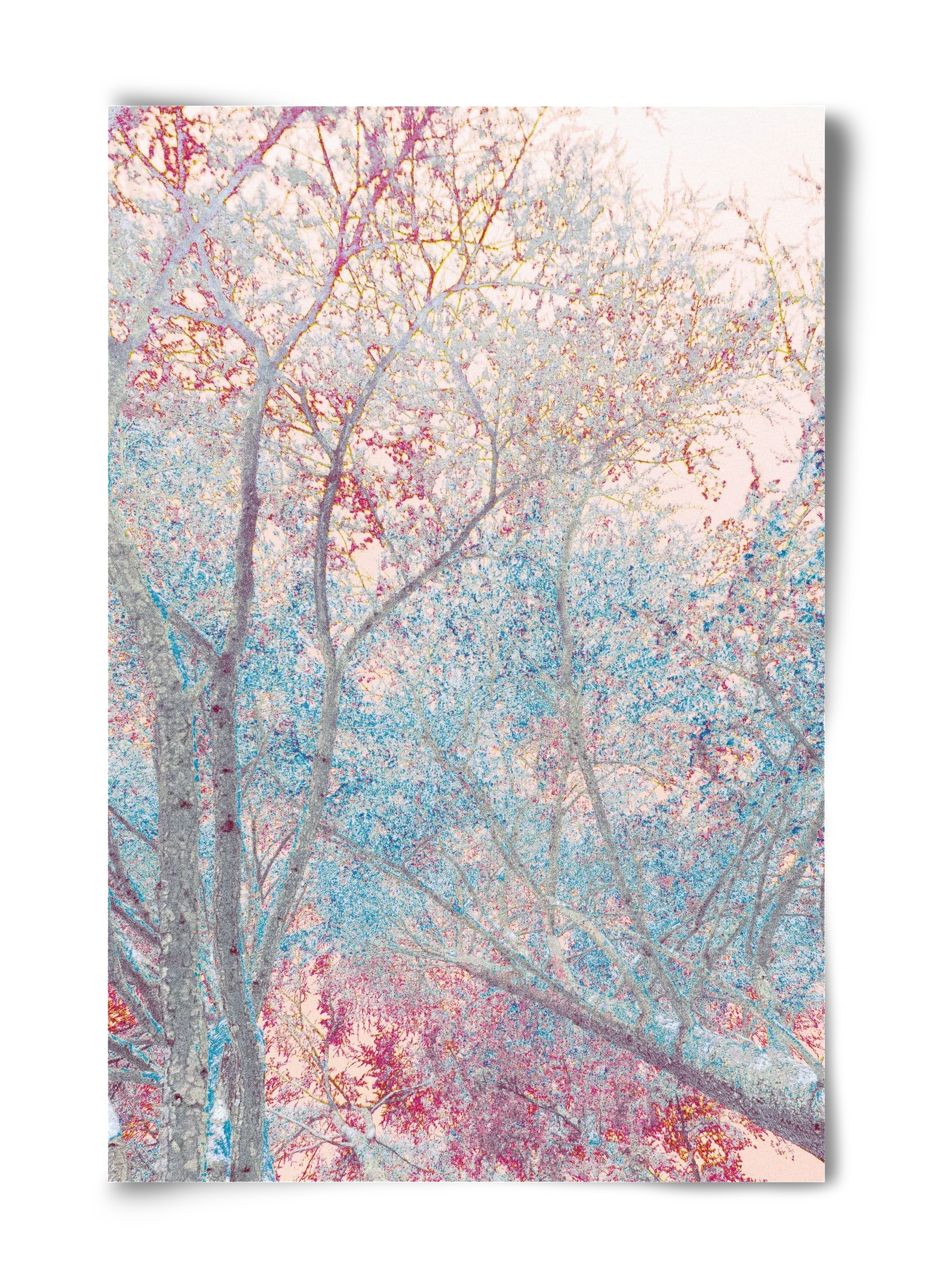 luminous - artbridge