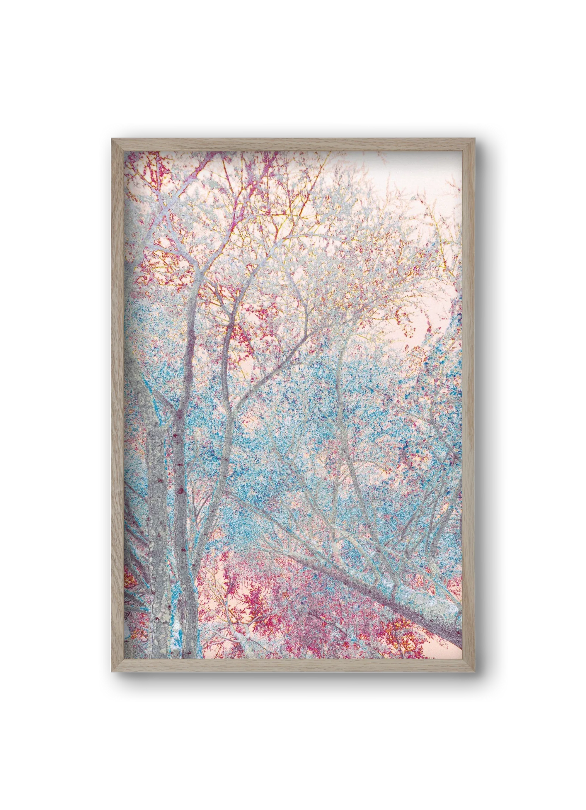 luminous - artbridge